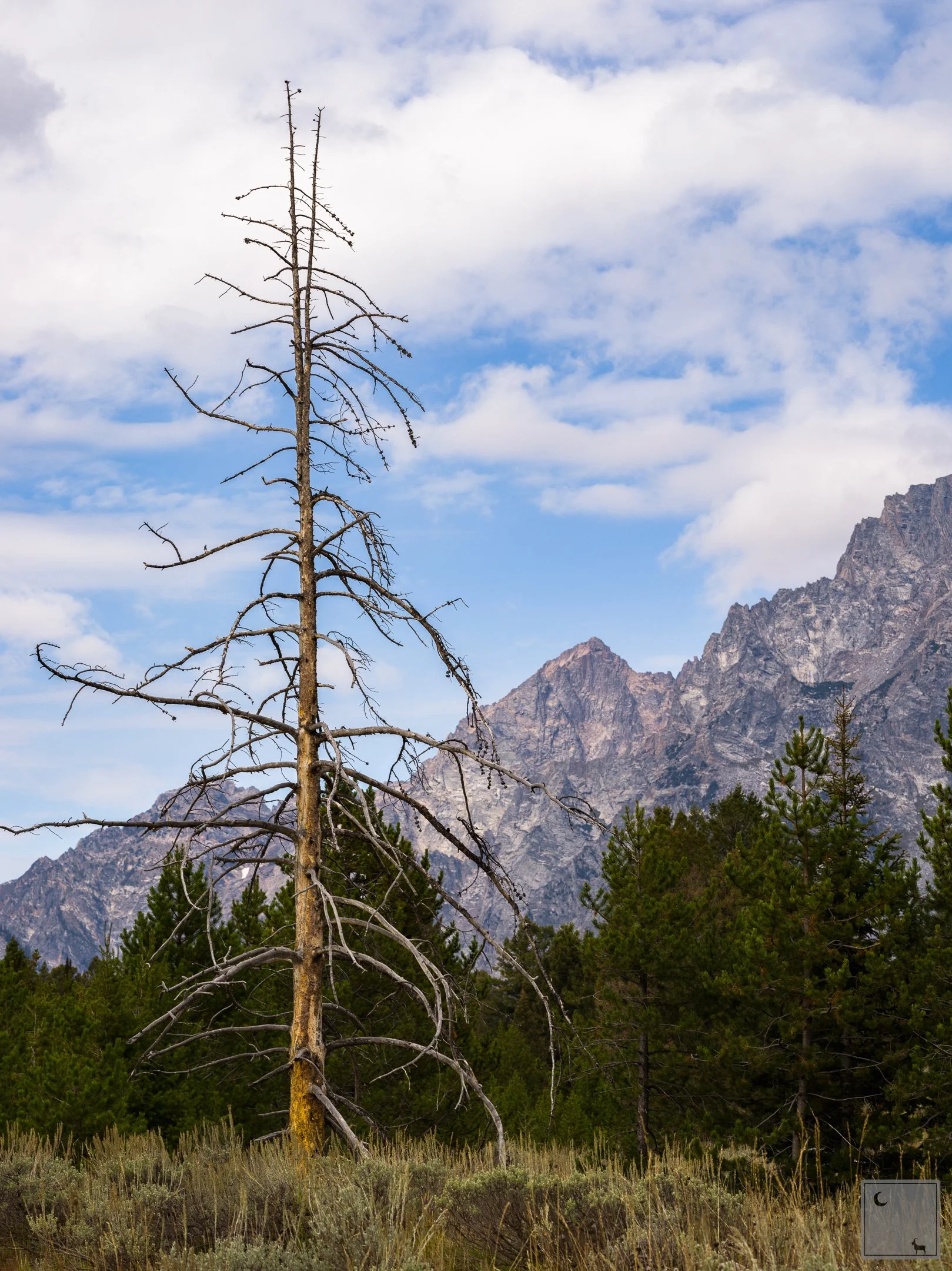  Grand Teton National Park • Wyoming 