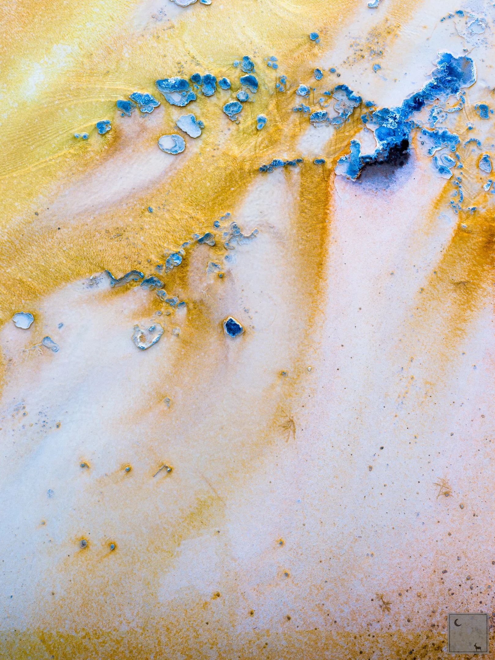  Yellowstone National Park • Wyoming 