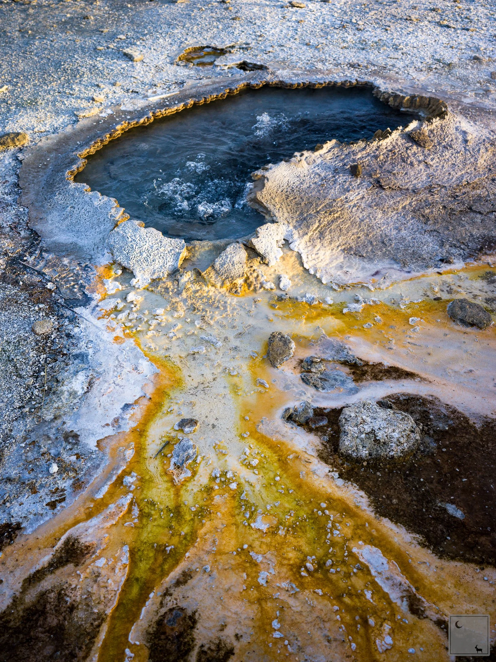  Yellowstone National Park • Wyoming 