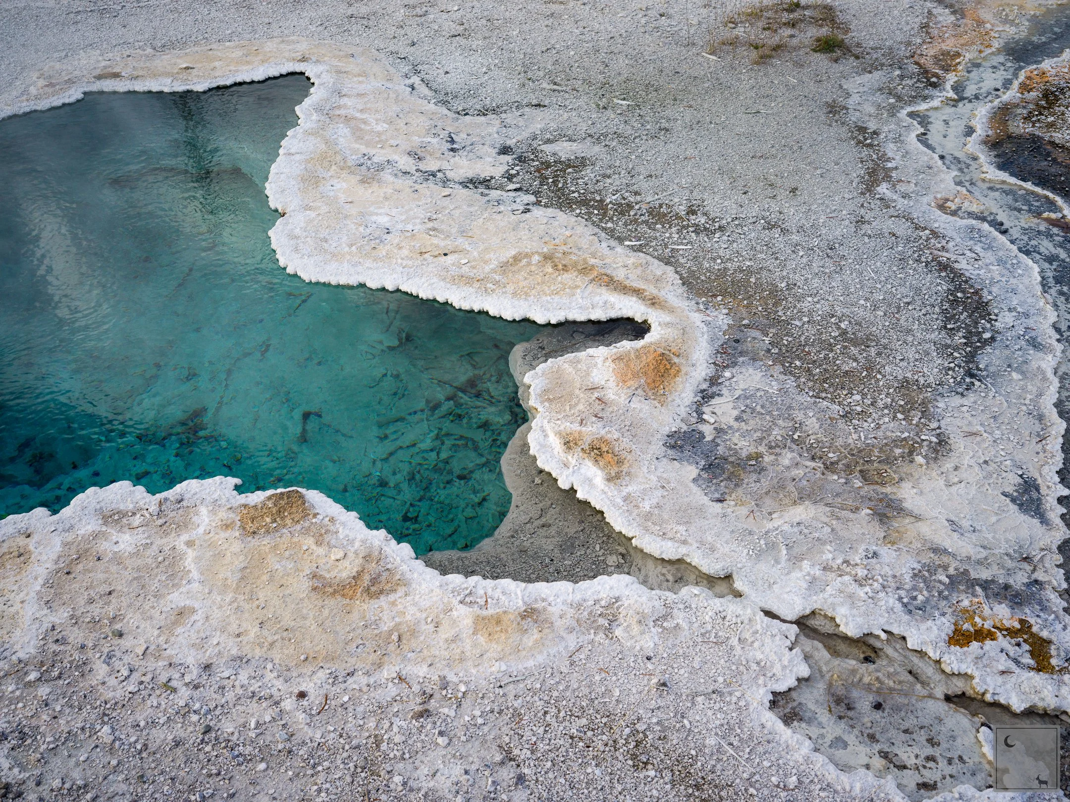  Yellowstone National Park • Wyoming 