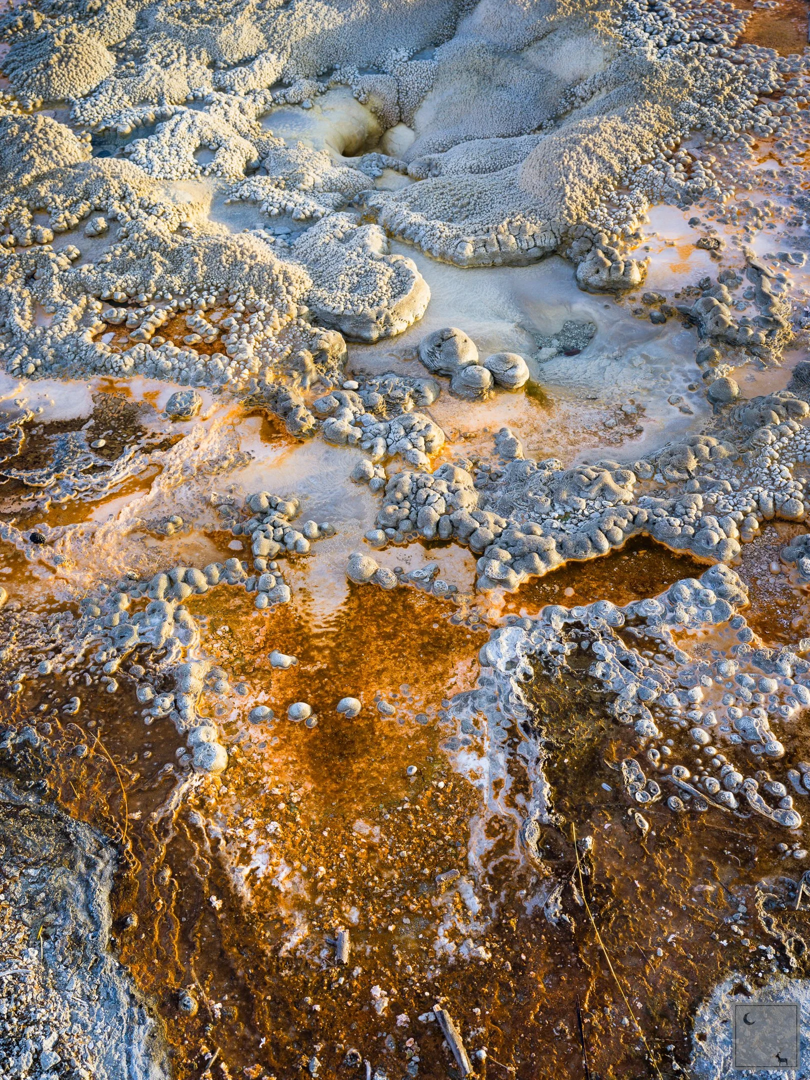  Yellowstone National Park • Wyoming 