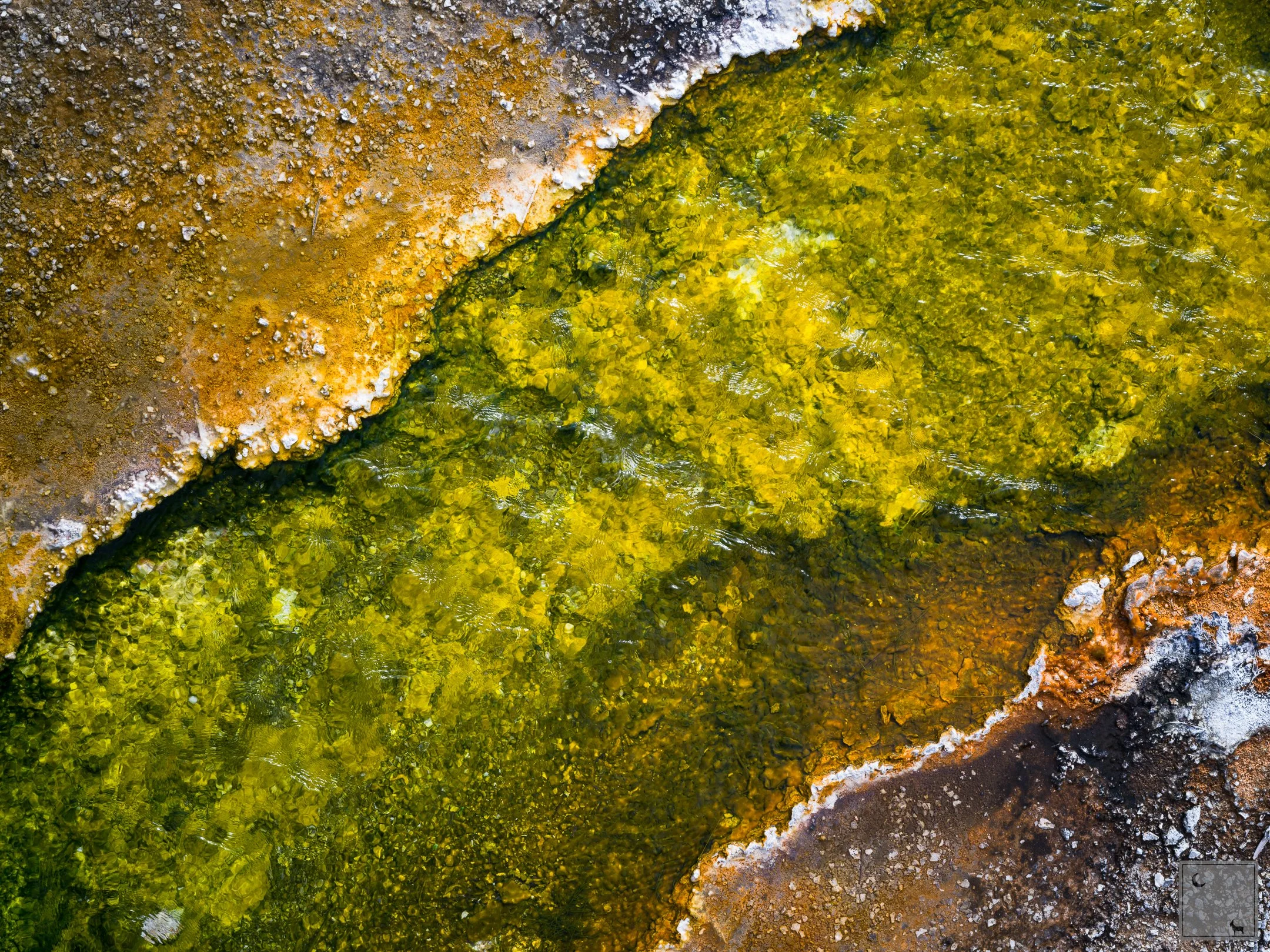  Yellowstone National Park • Wyoming 