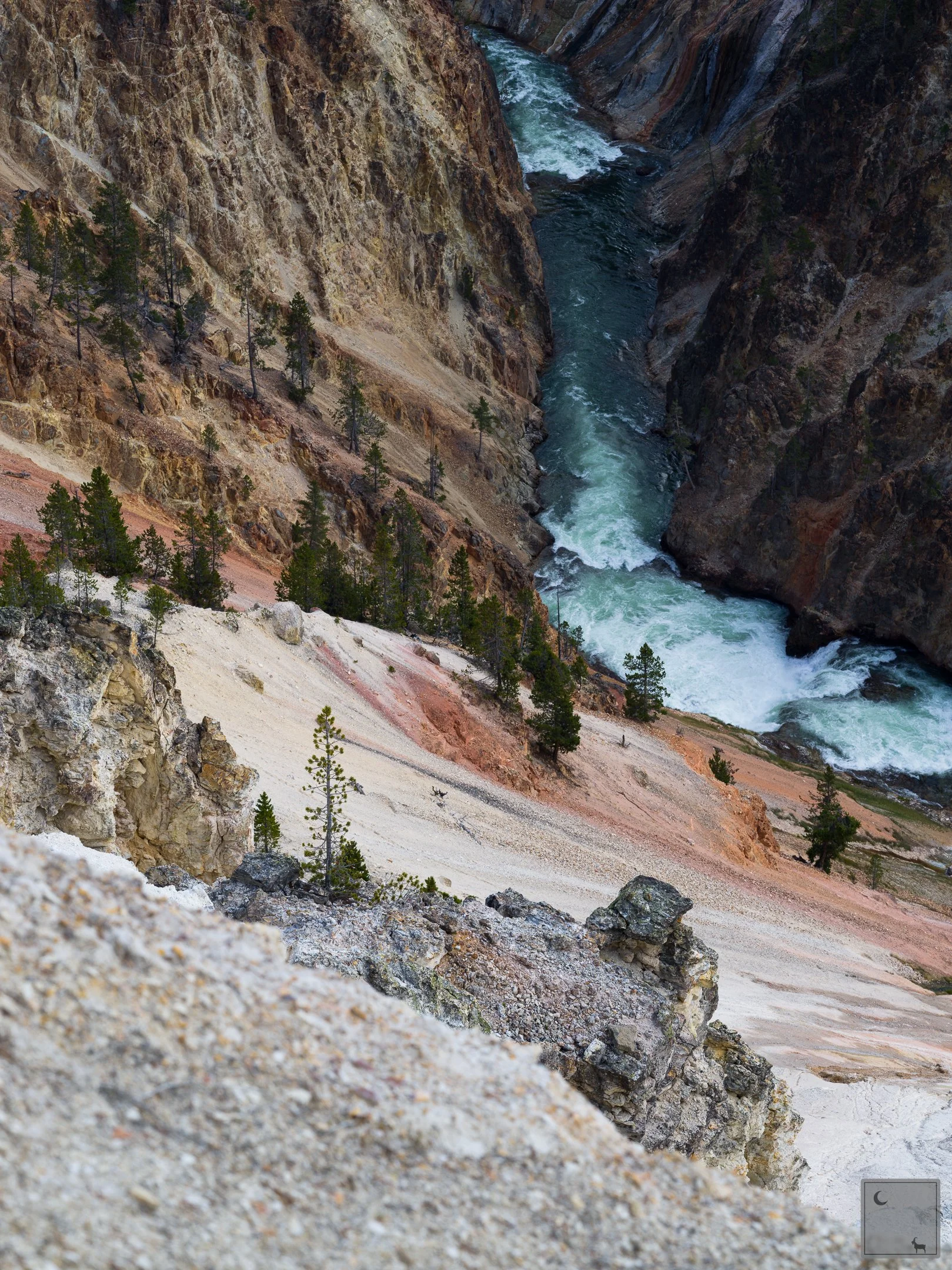  Yellowstone National Park • Wyoming 
