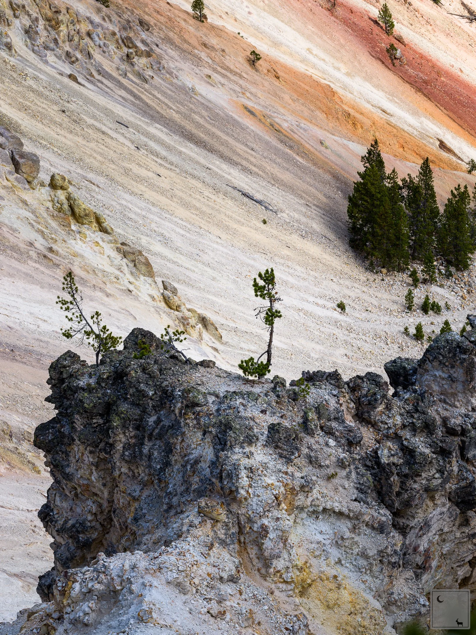  Yellowstone National Park • Wyoming 