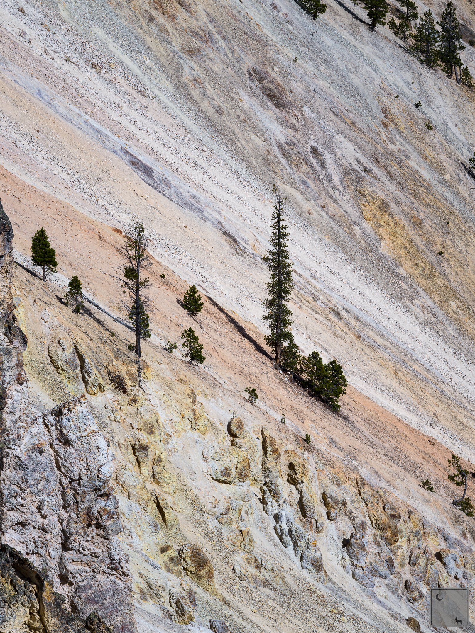 Yellowstone National Park • Wyoming 