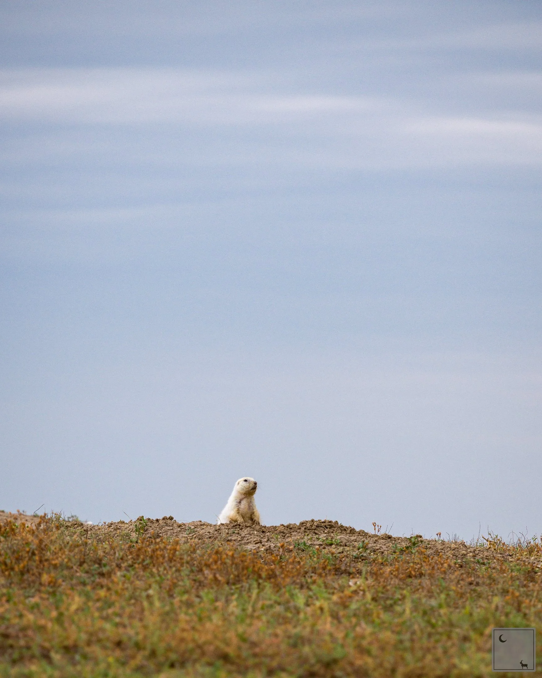  Badlands National Park • South Dakota 