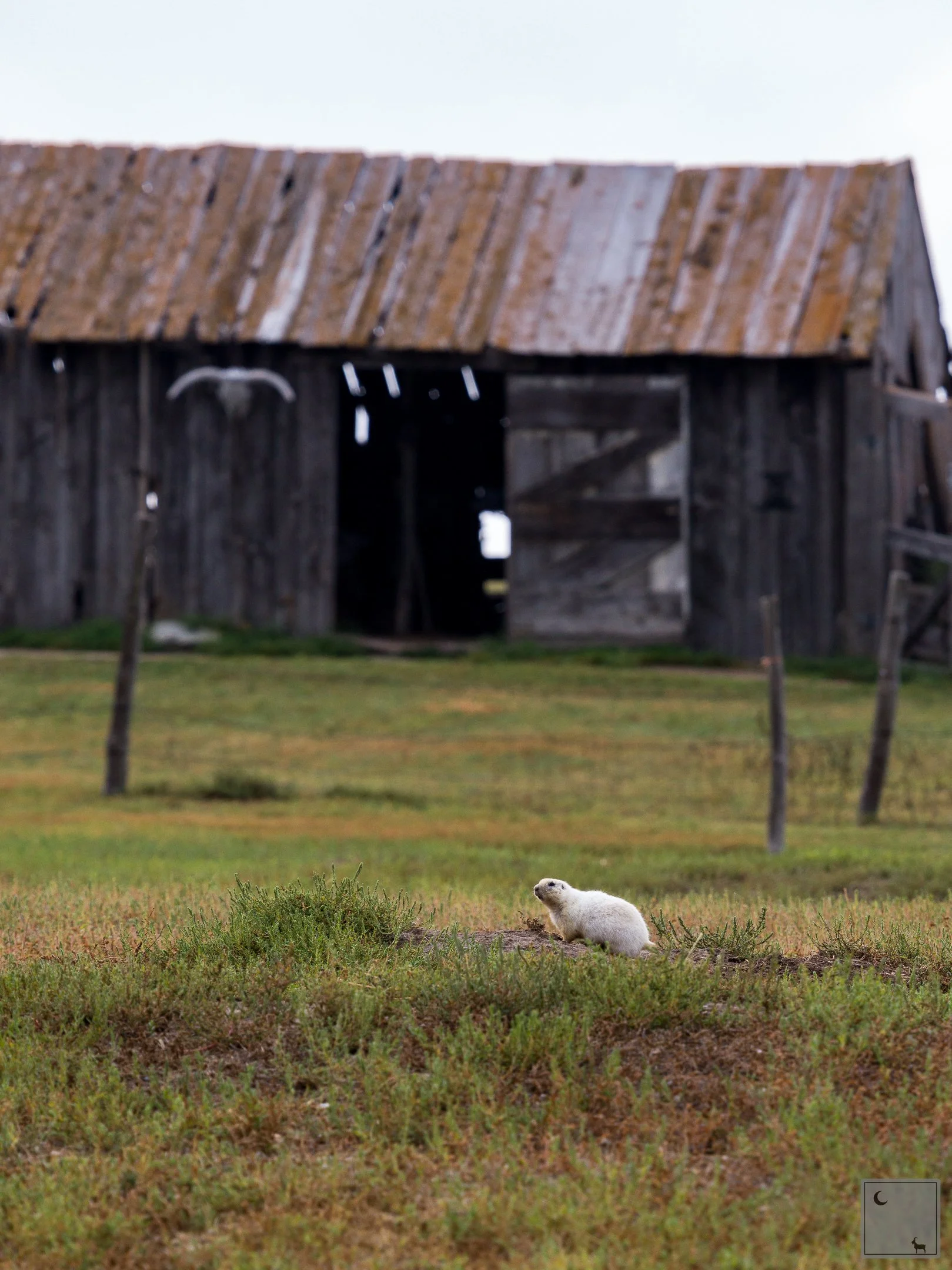 Badlands National Park • South Dakota 
