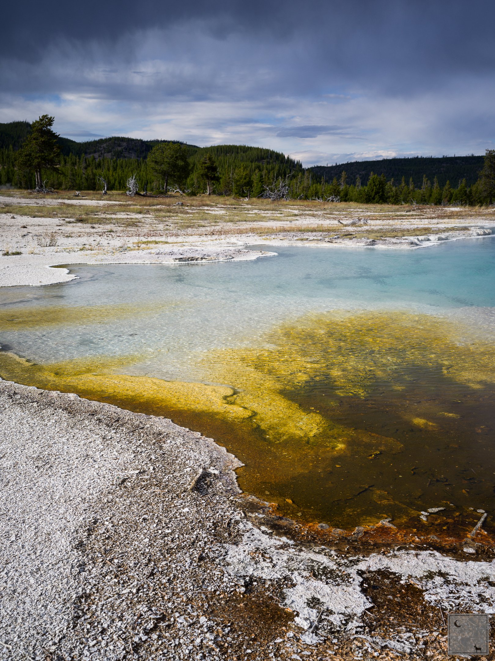  Yellowstone National Park • Wyoming 
