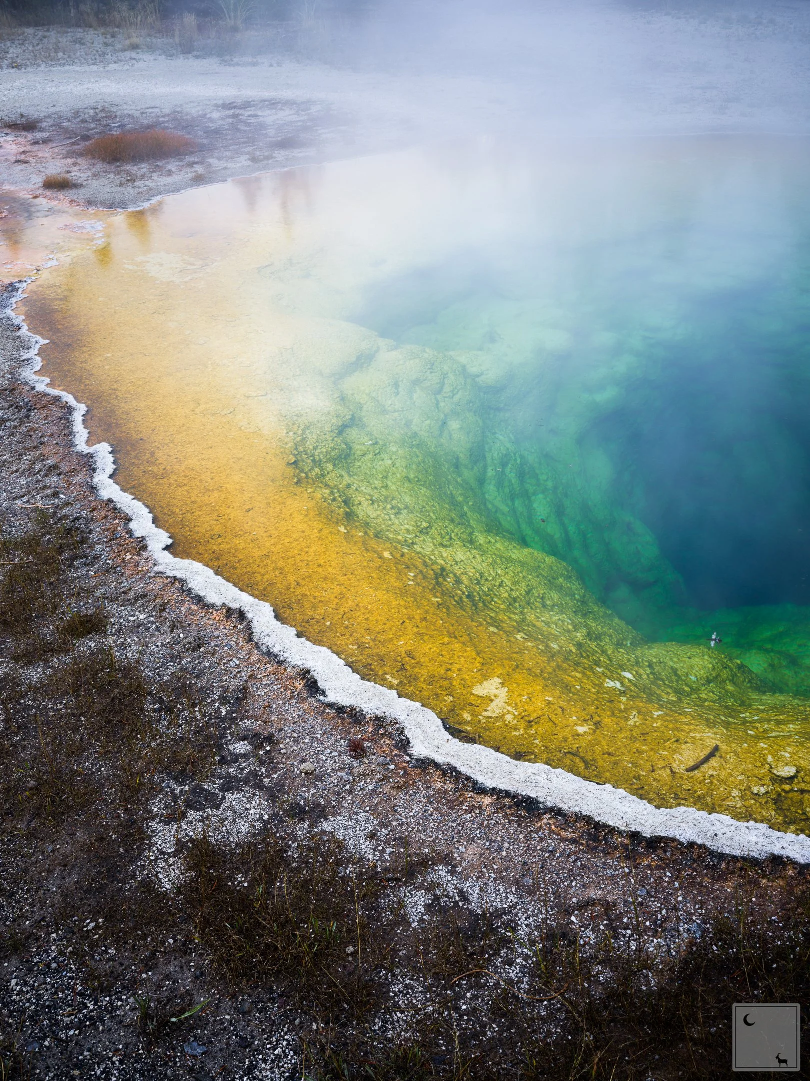  Yellowstone National Park • Wyoming 