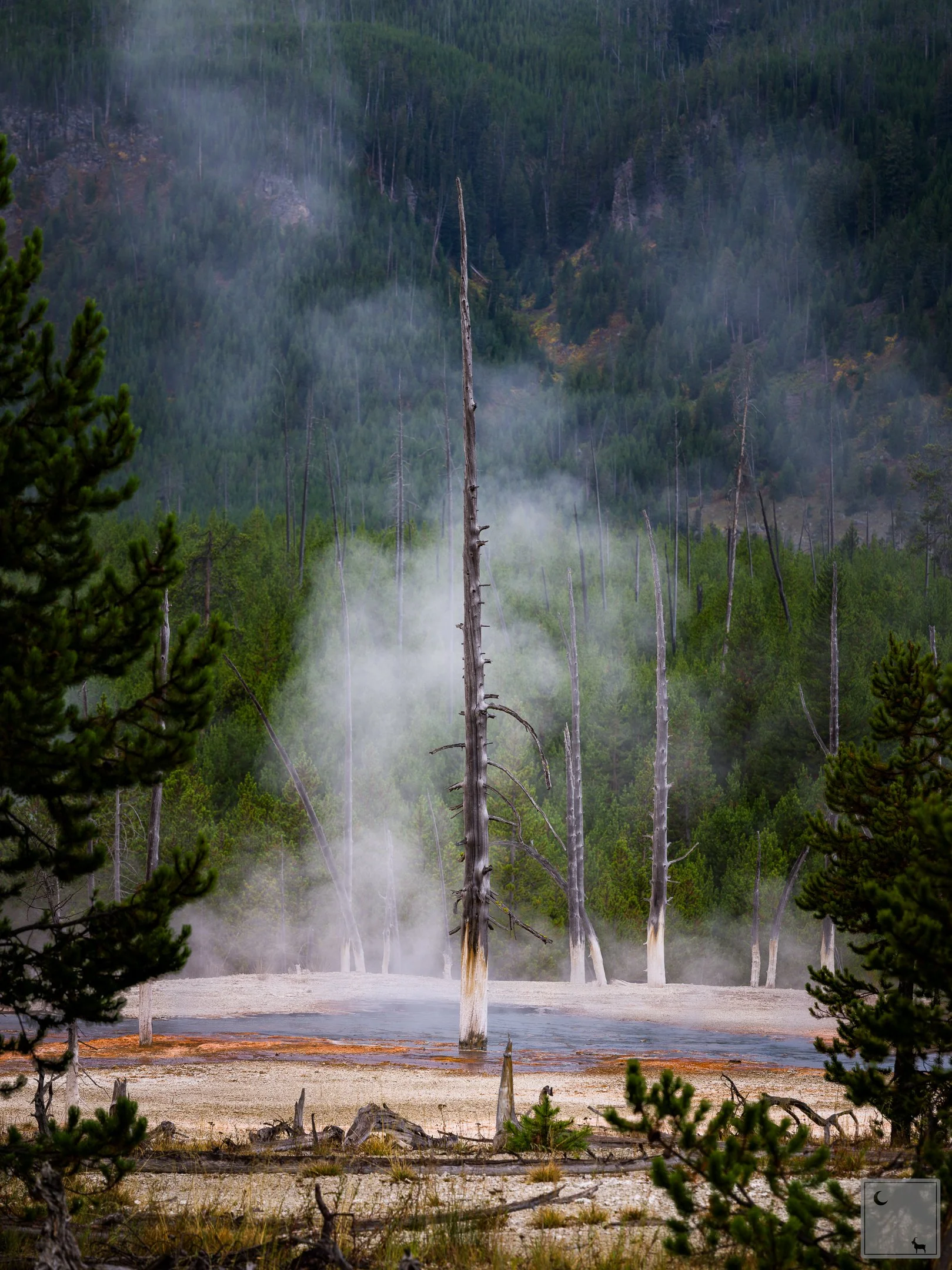  Yellowstone National Park • Wyoming 