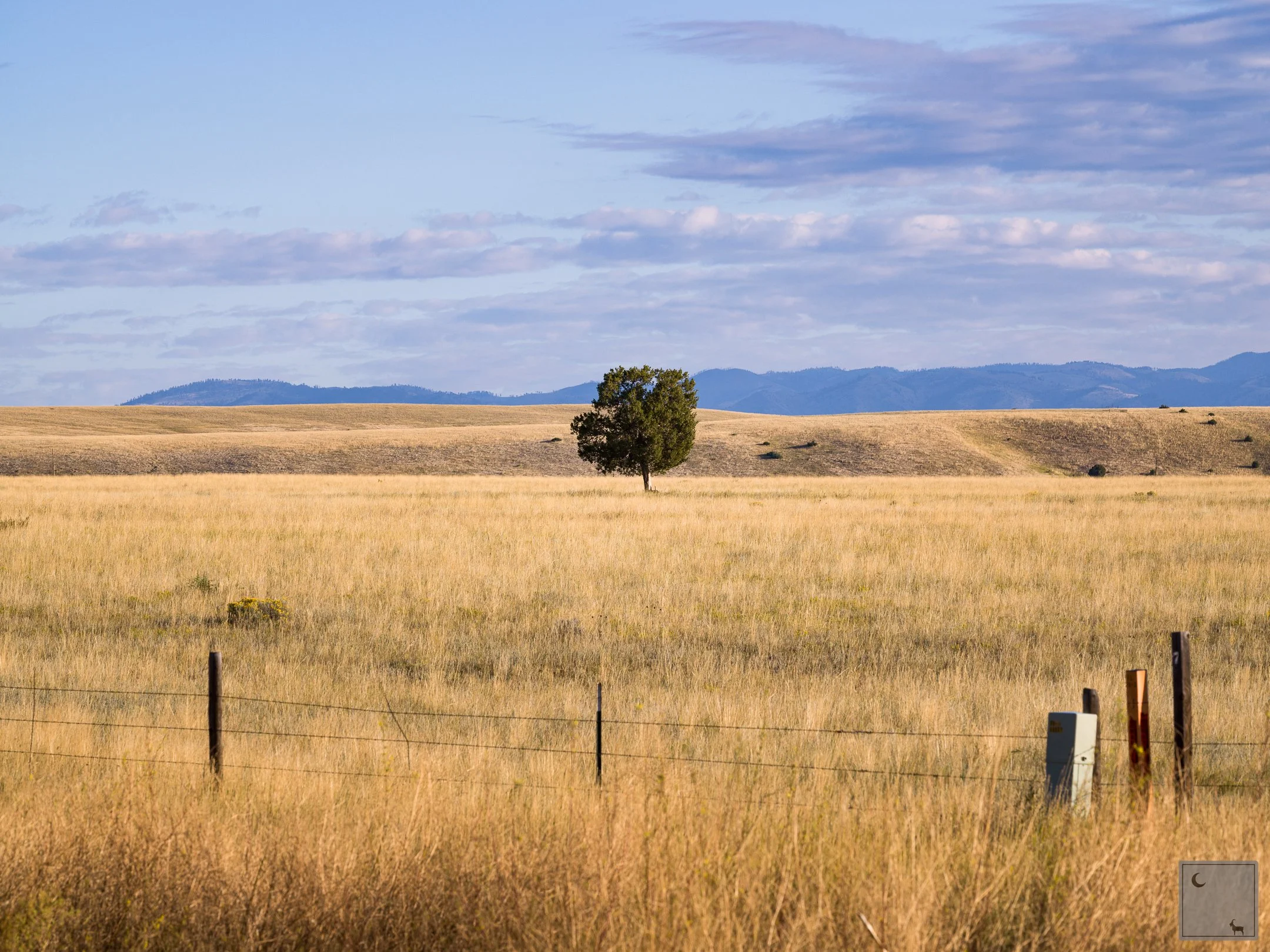  Great Plains • Montana 