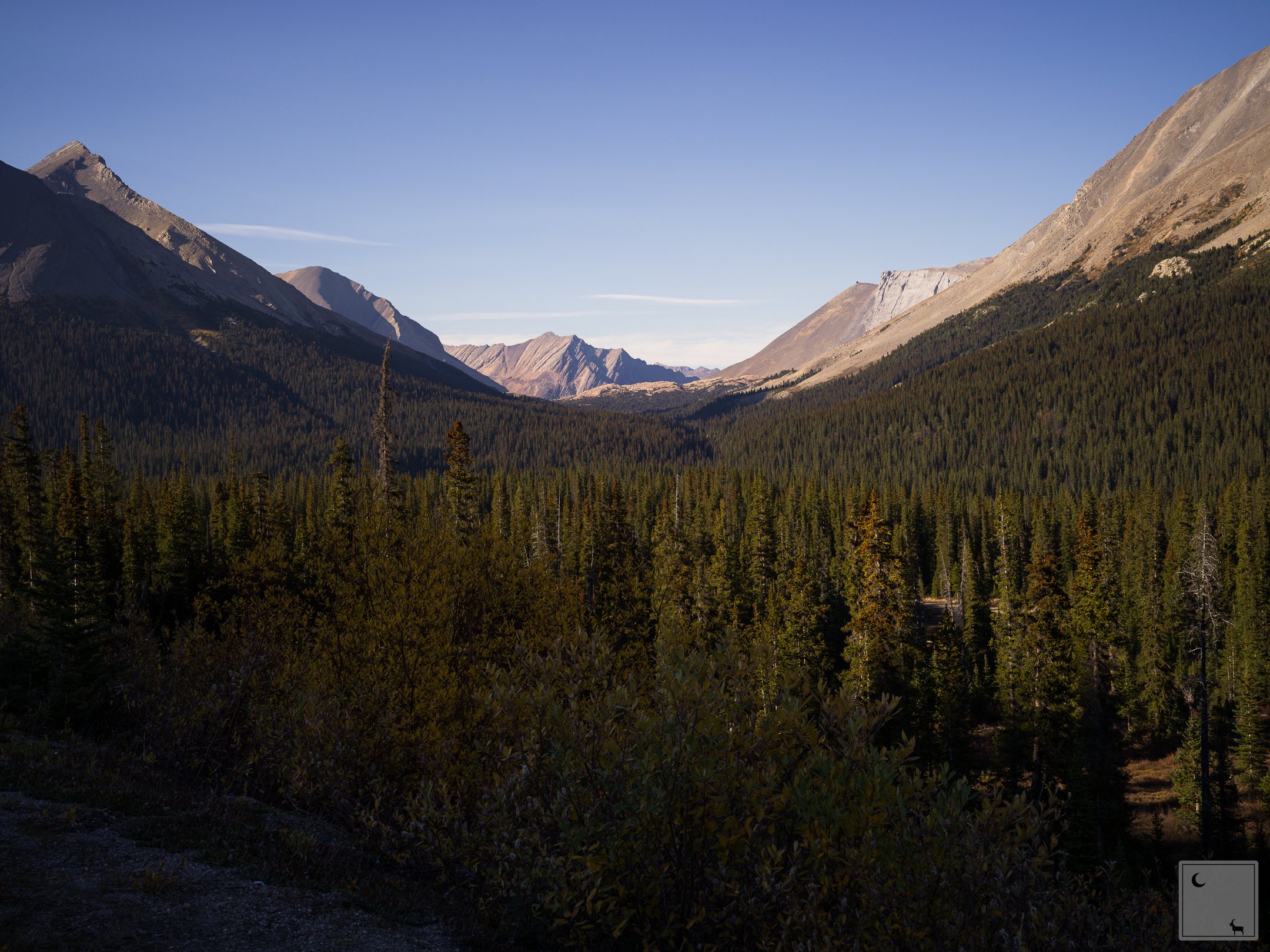 Jasper National Park • Alberta 