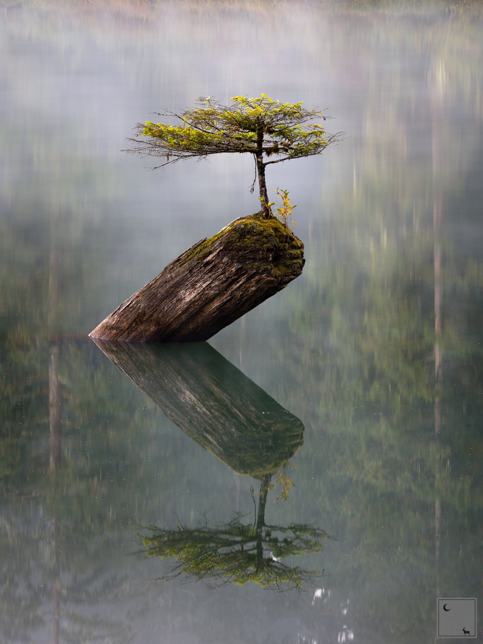  Fairy Lake • British Columbia 