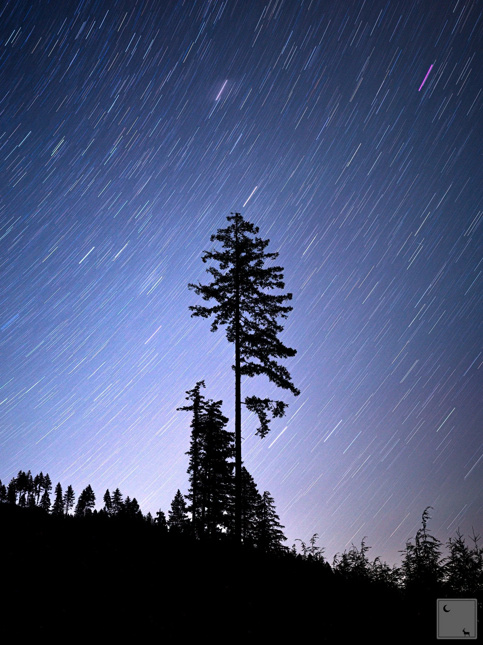 Olympic National Park • Washington 