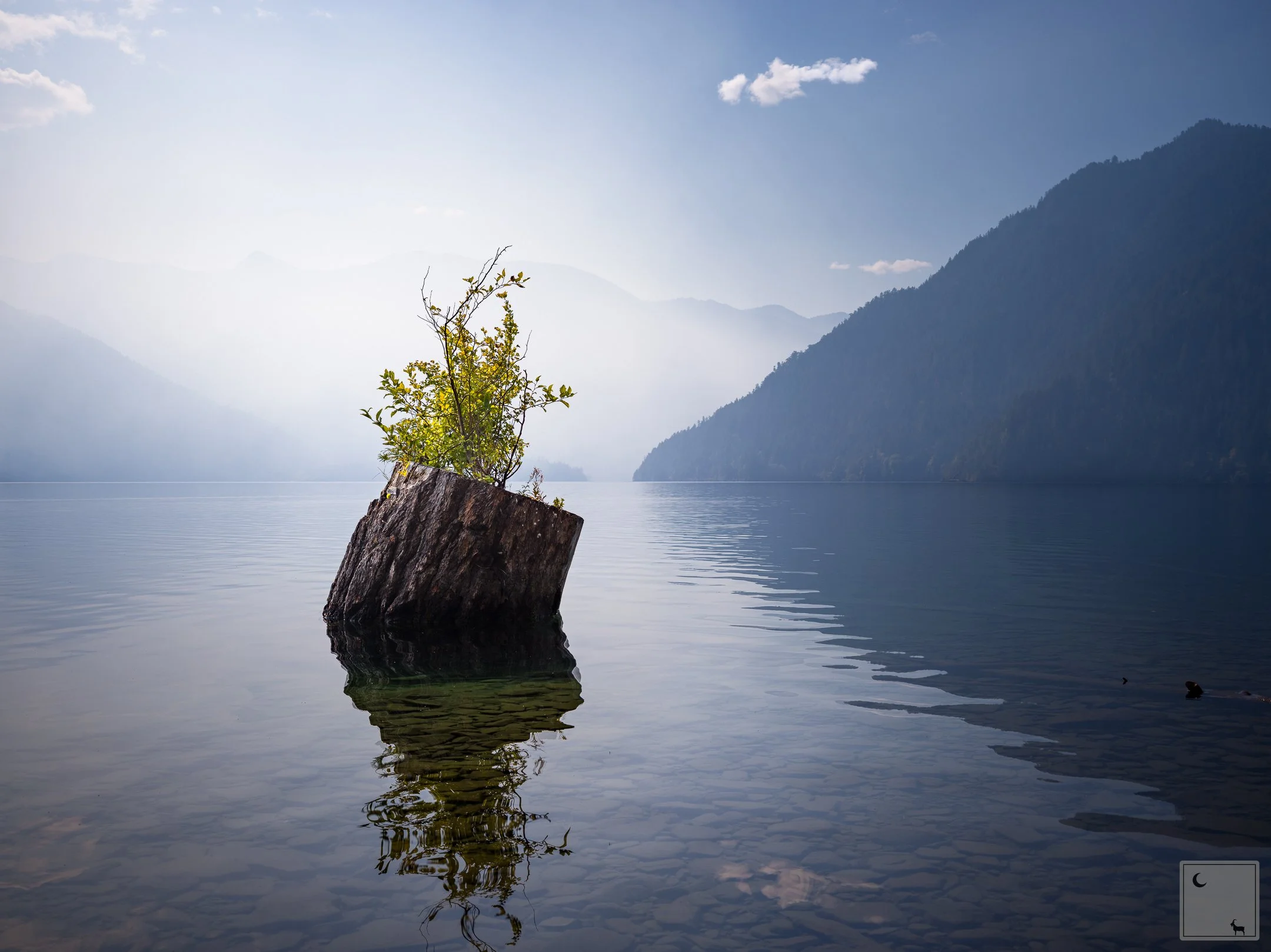  Olympic Peninsula • Washington 