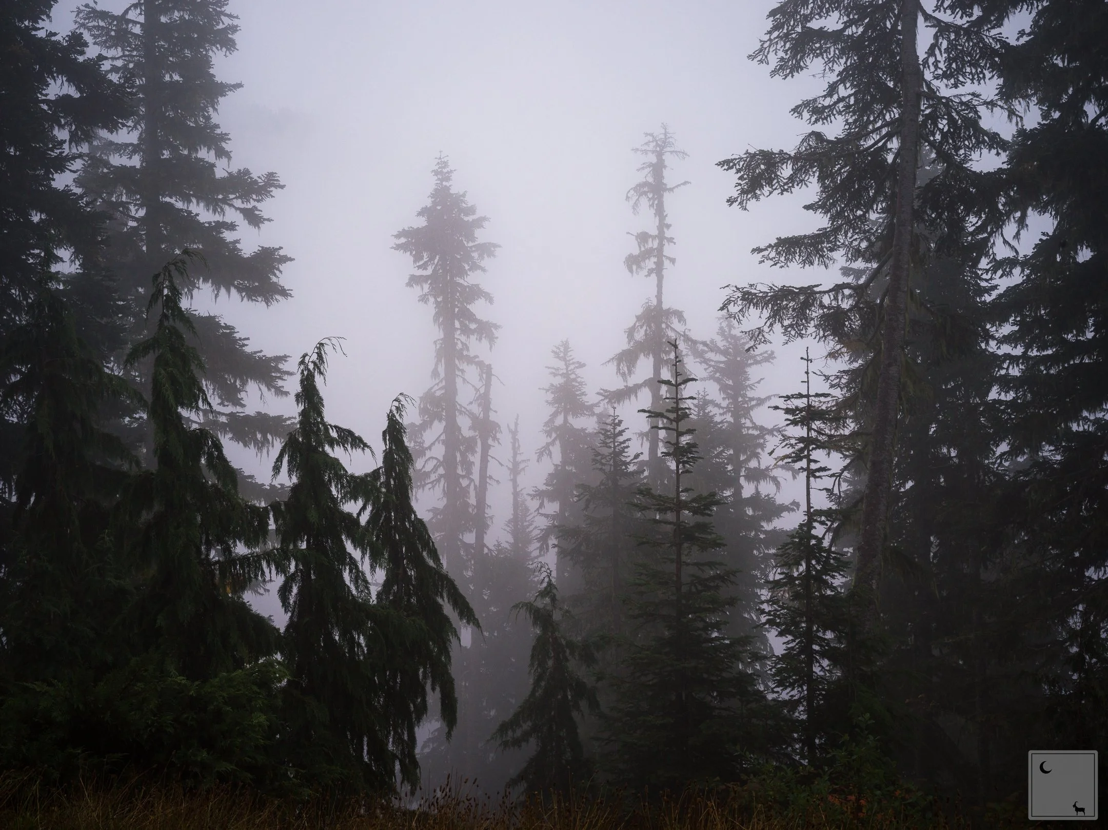  Olympic National Park • Washington 
