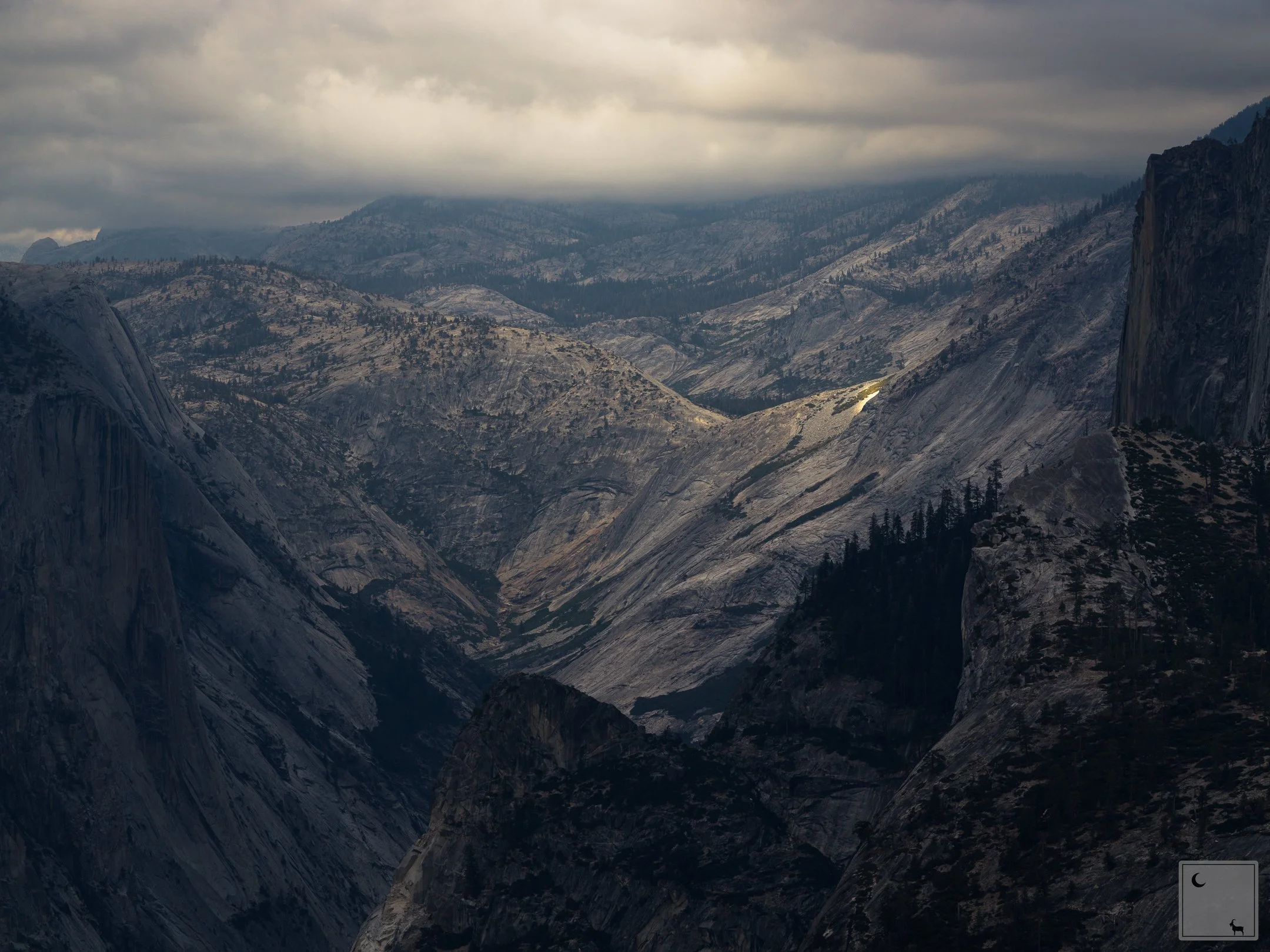  Yosemite National Park • California 