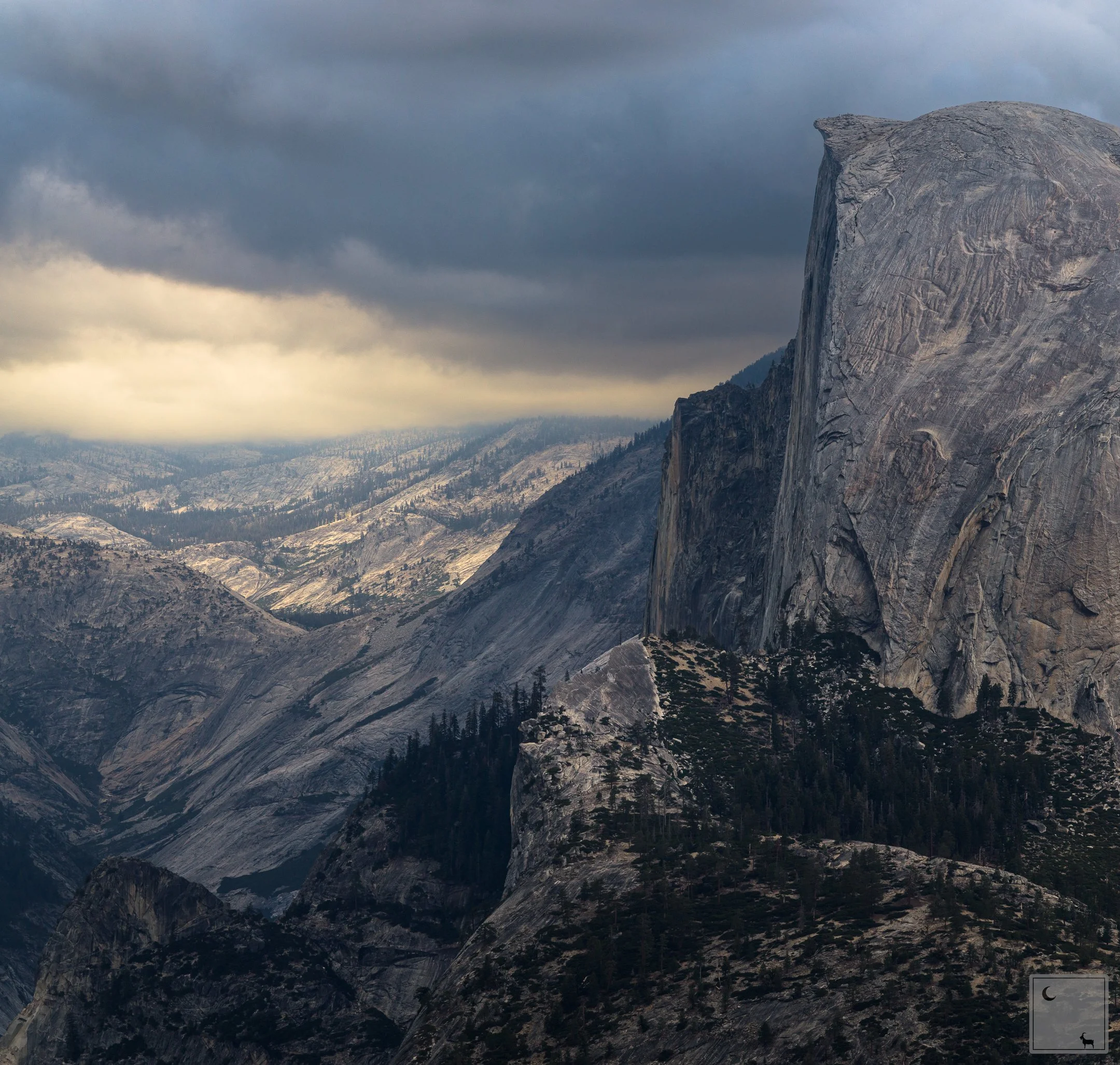  Yosemite National Park • California 