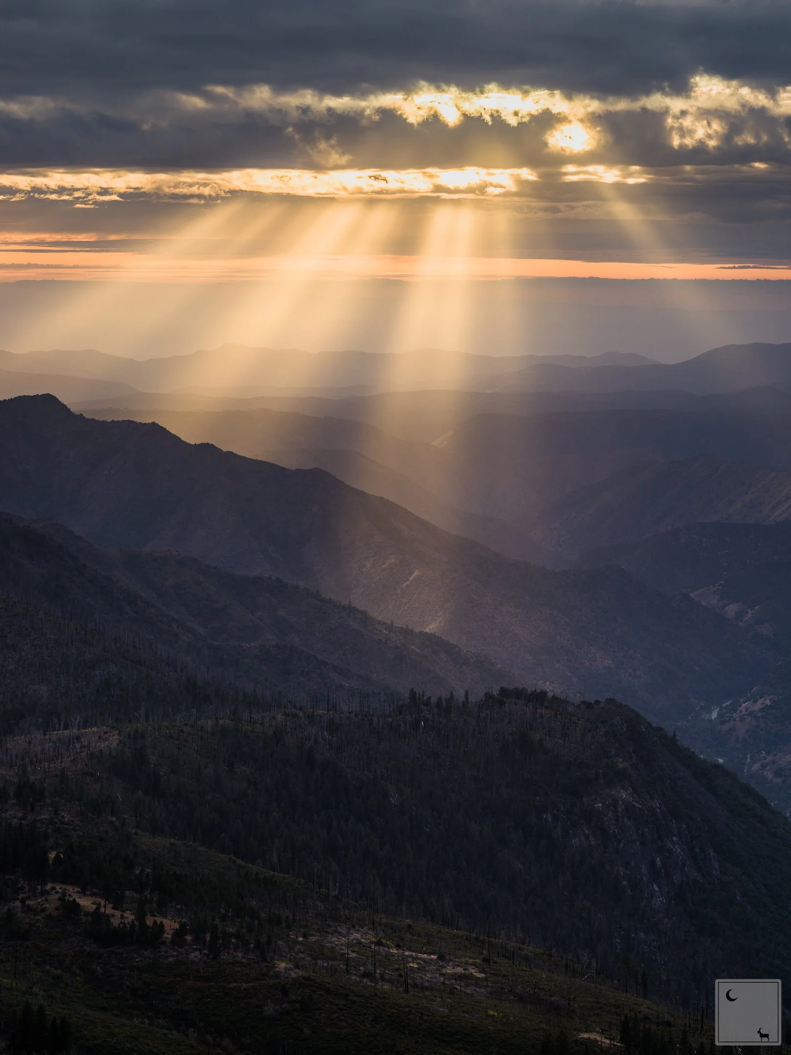  Yosemite National Park • California 