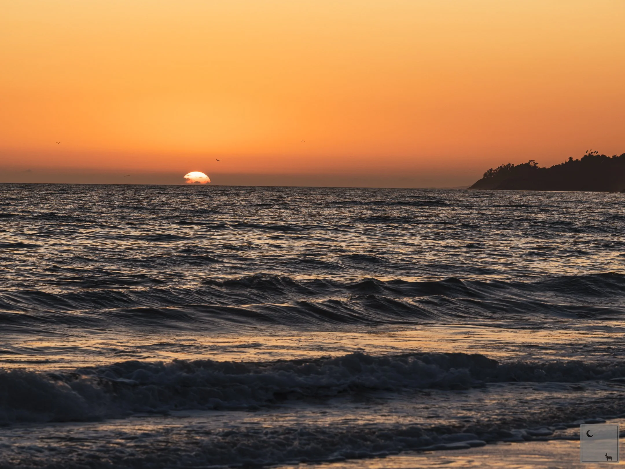  Pacific Ocean • California 