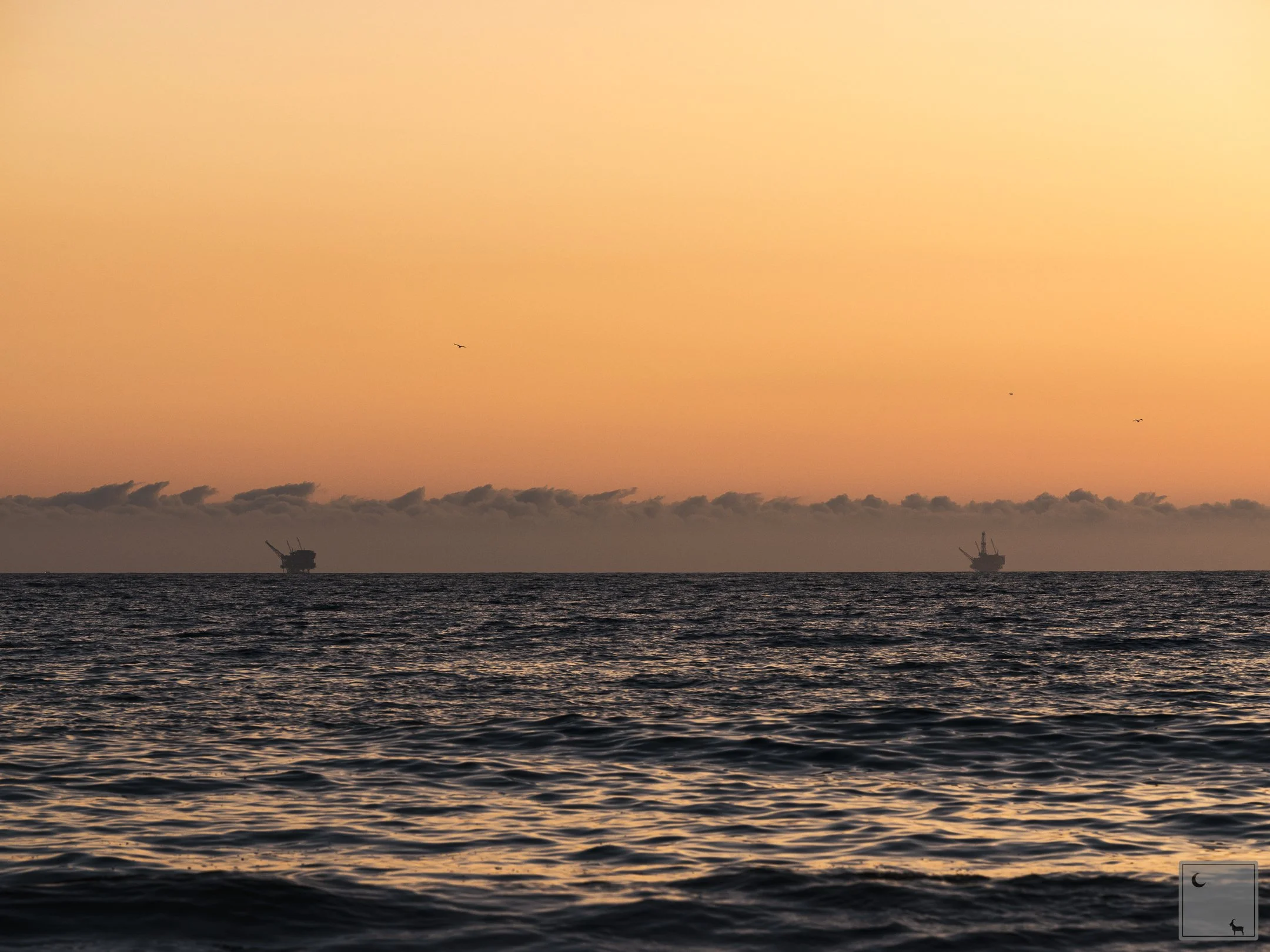  Pacific Ocean • California 