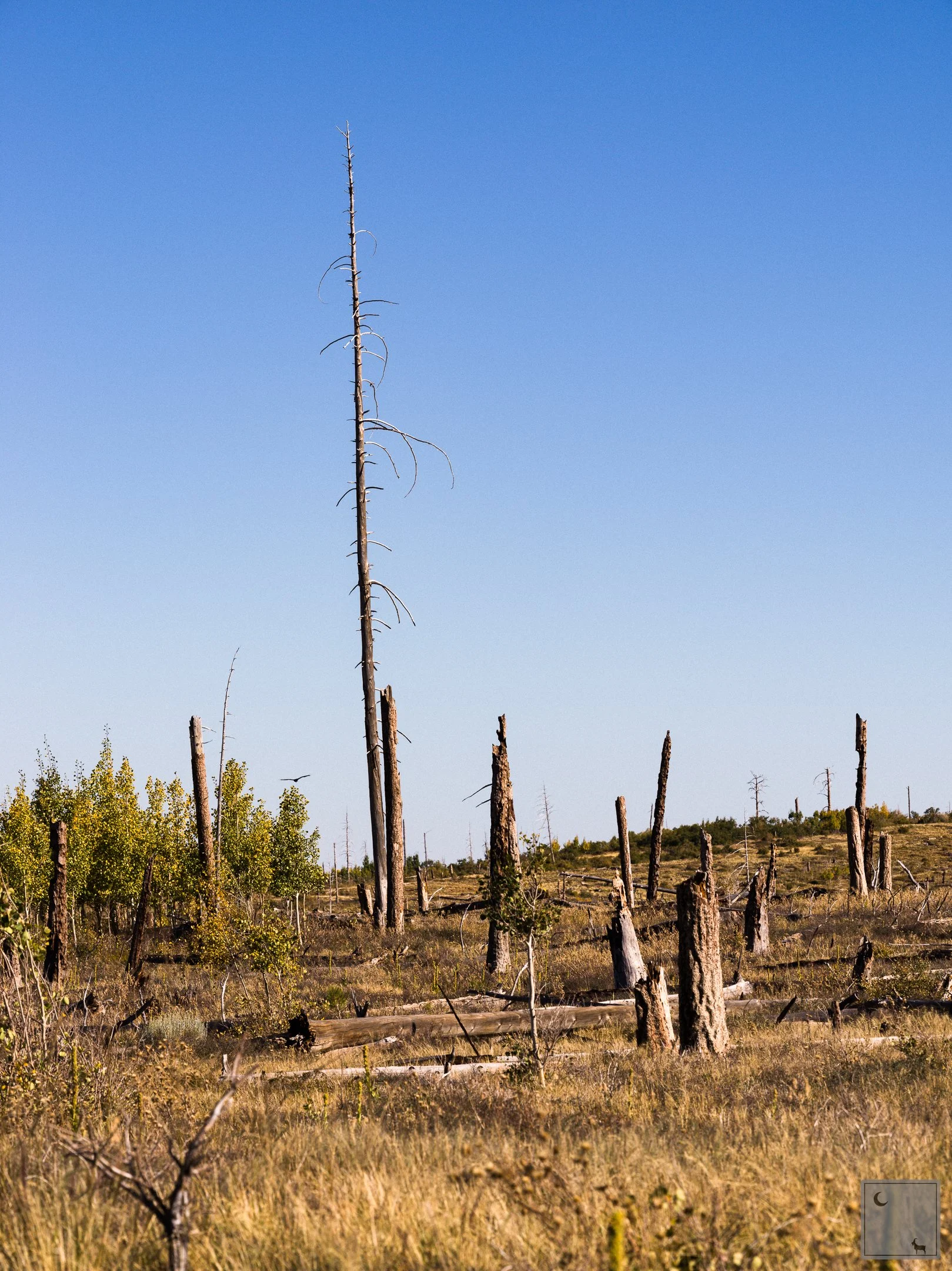  North Rim Grand Canyon National Park • Arizona 