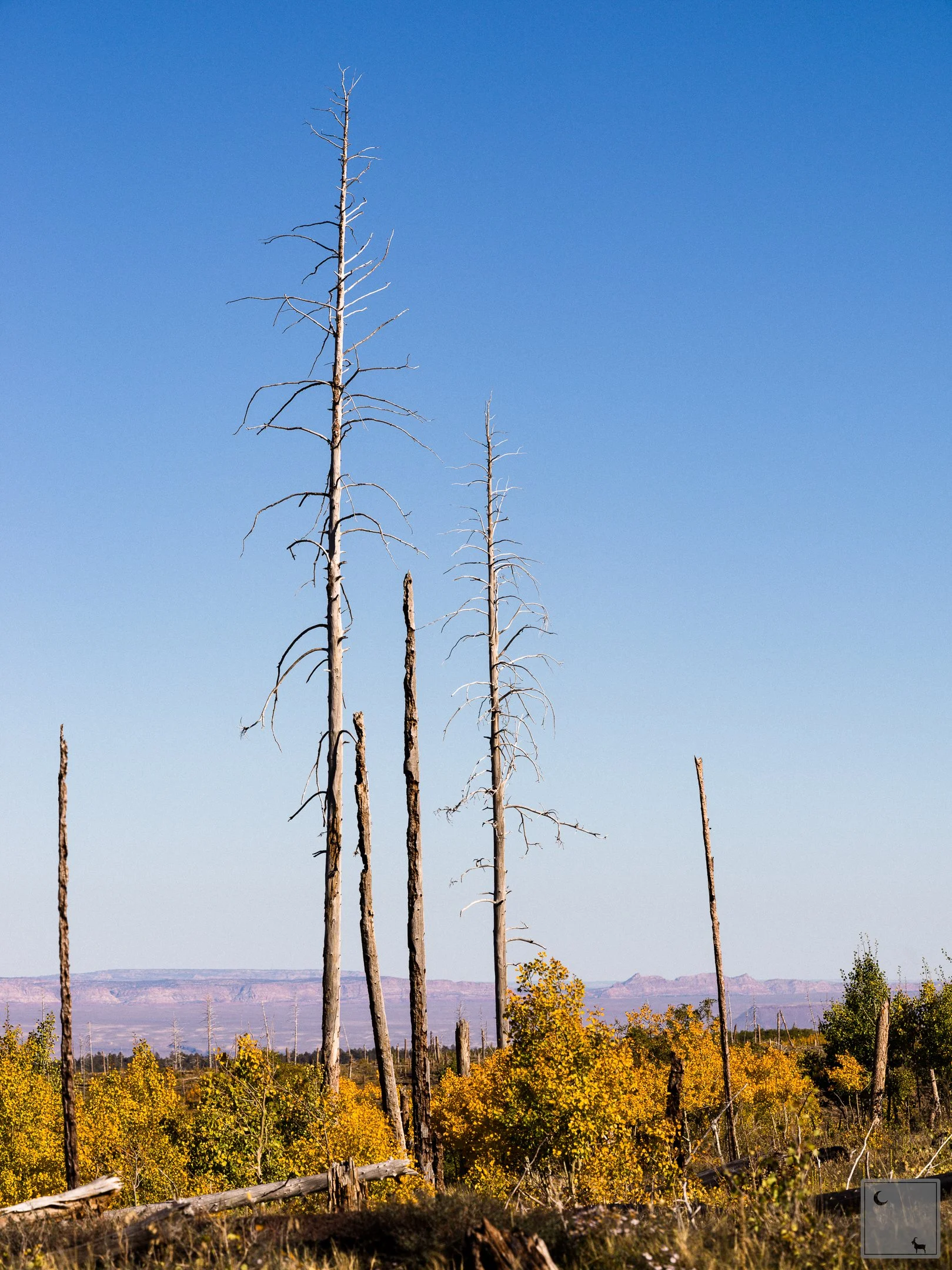  North Rim Grand Canyon National Park • Arizona 