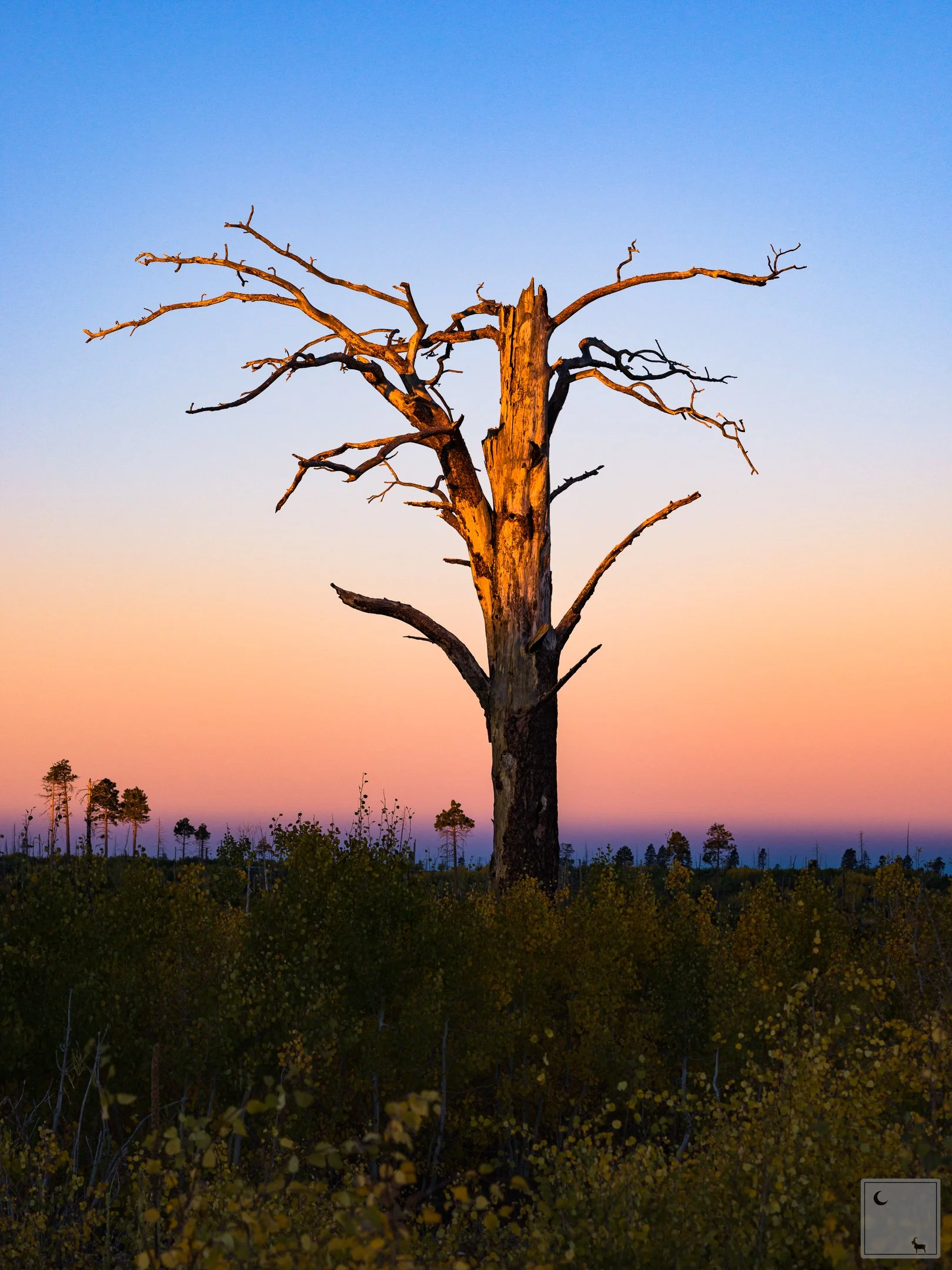  Kaibab National Forest • Arizona 