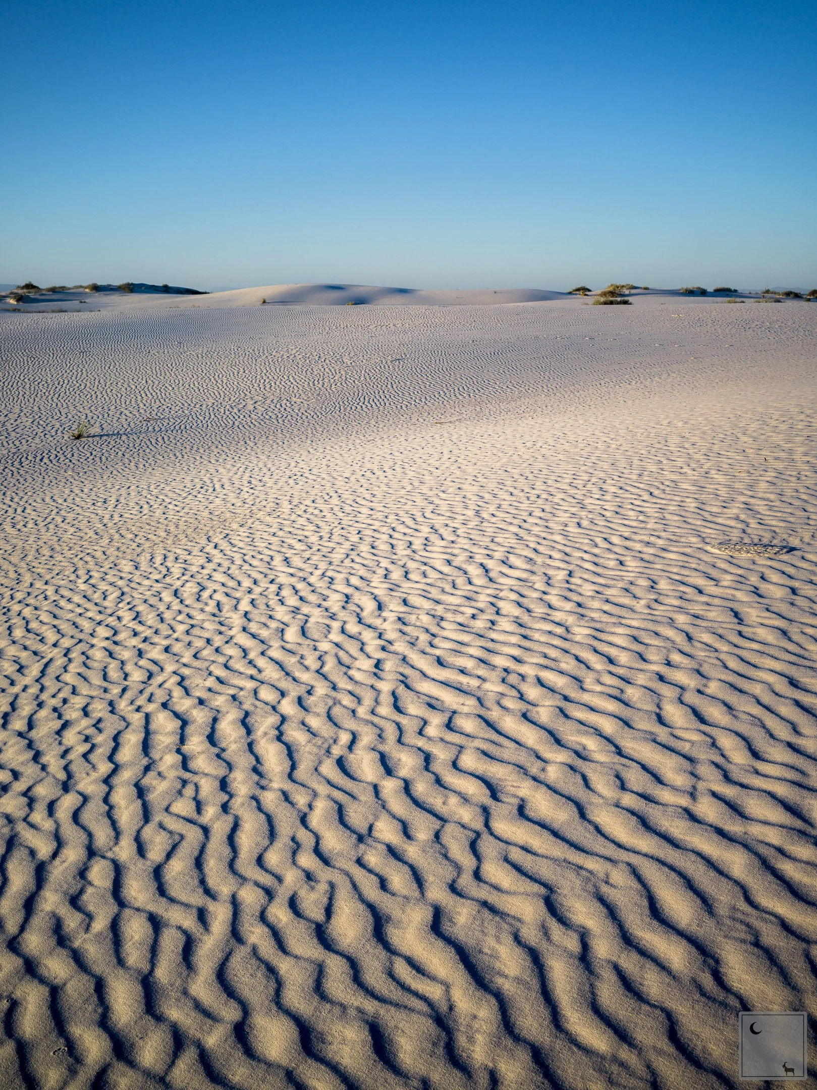  White Sands National Park • New Mexico 