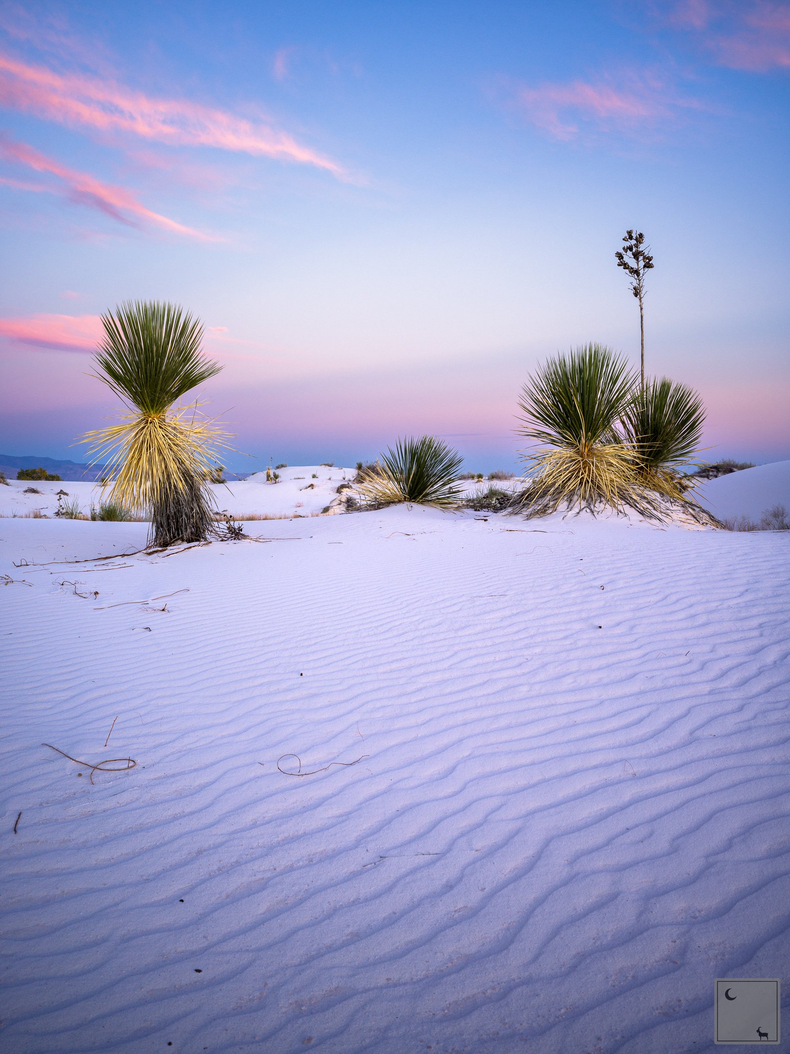  White Sands National Park • New Mexico 