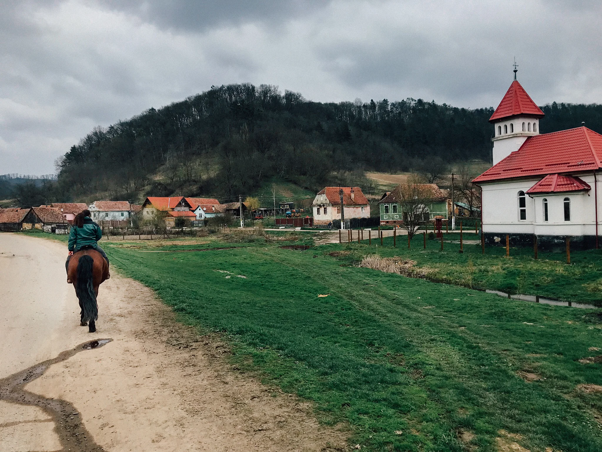 I'll admit that the above photos are 35mm photographs of a horse in the fortified town of Viscri. The light was not good, I was worried about dropping my iPhone during trots, and did I mention horse-riding kind of terrifies me.
