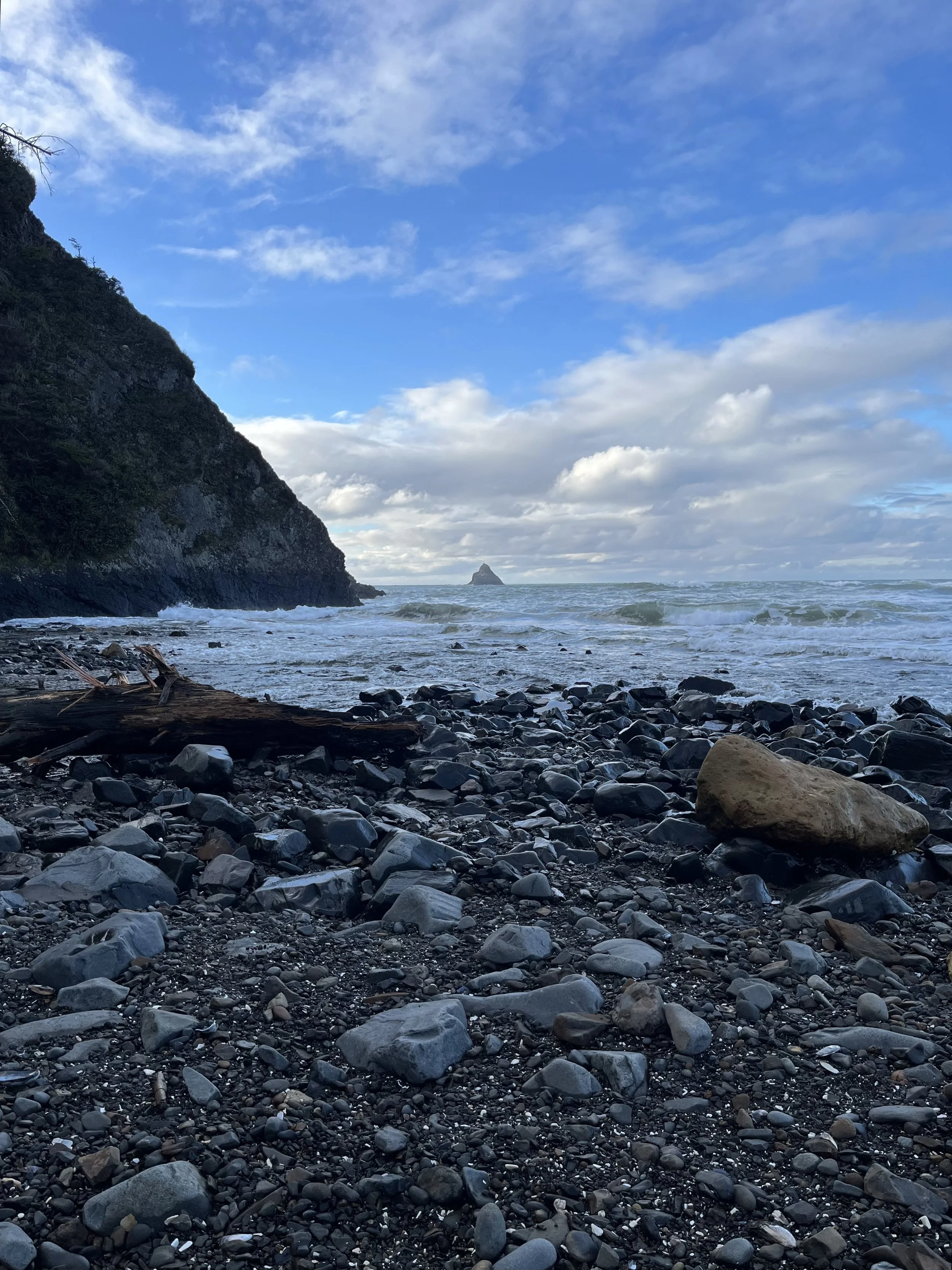 Wild Goose Qigong 6-Week Spring Series