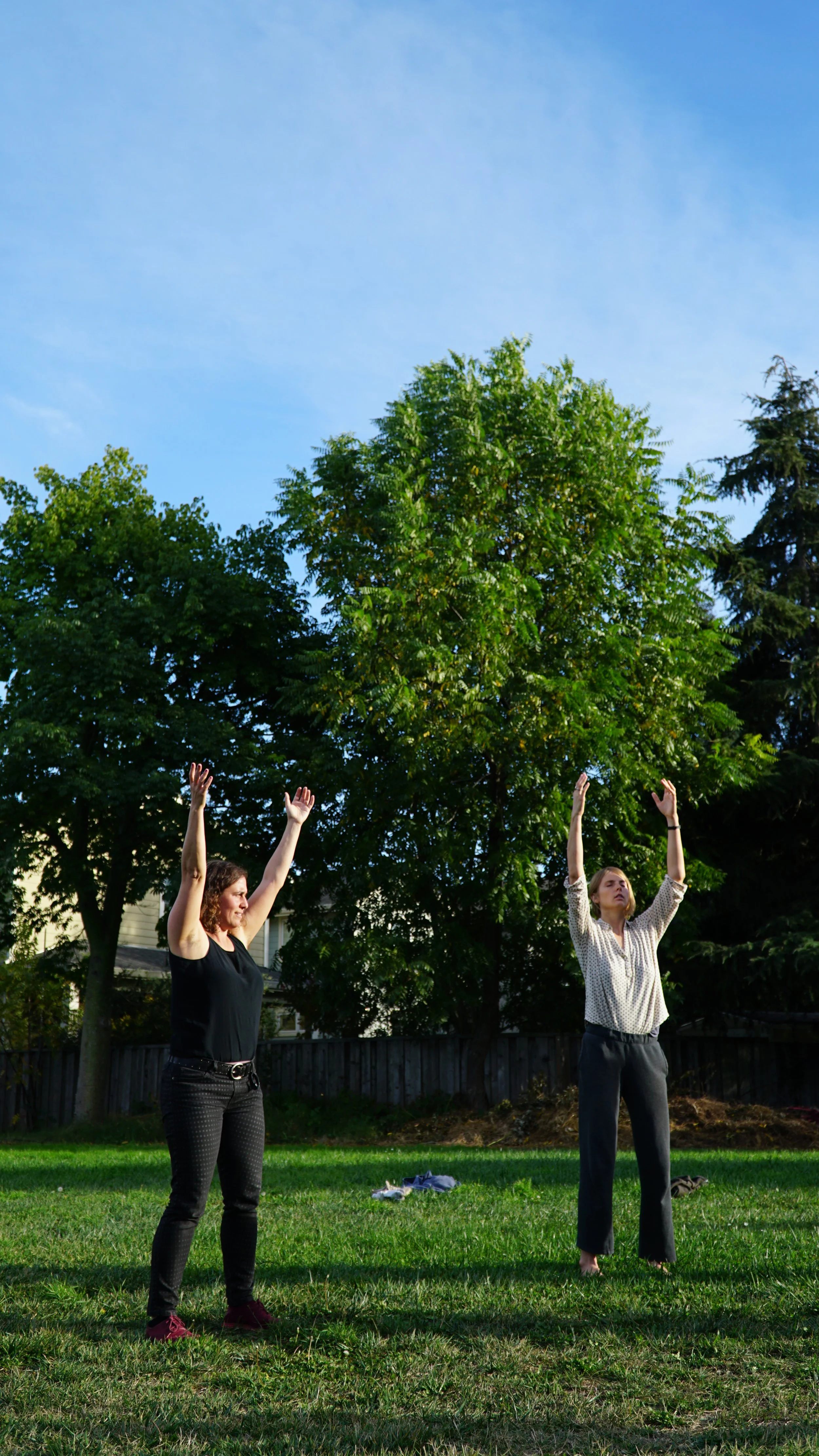 Solstice Wild Goose Qigong Workshop with Margit Galanter