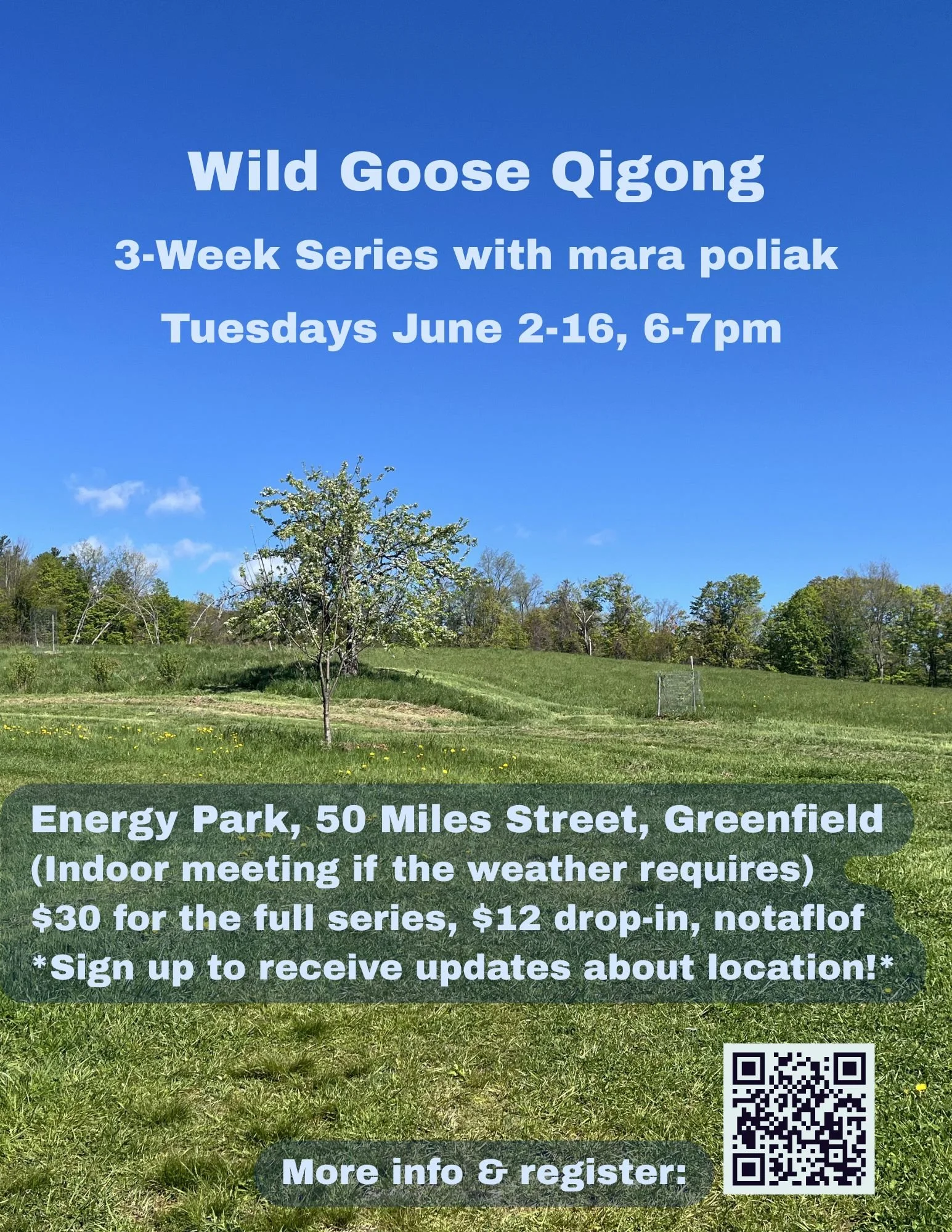 June Wild Goose Qigong - 3-Week Series