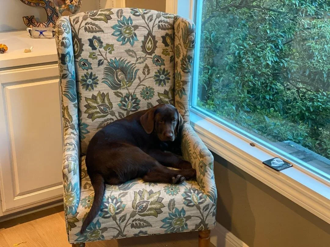 Coco-Chair.jpg