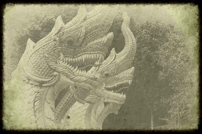 nagas