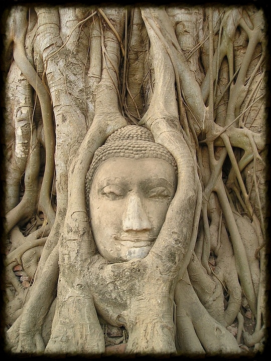 learning, we see through the tangle