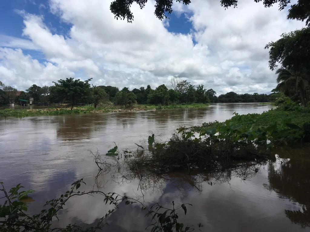 This is a river in Thailand that I have much love for. It could be here representing the flow of the path to licensure and learning deeply. Or it could just be a pretty river.