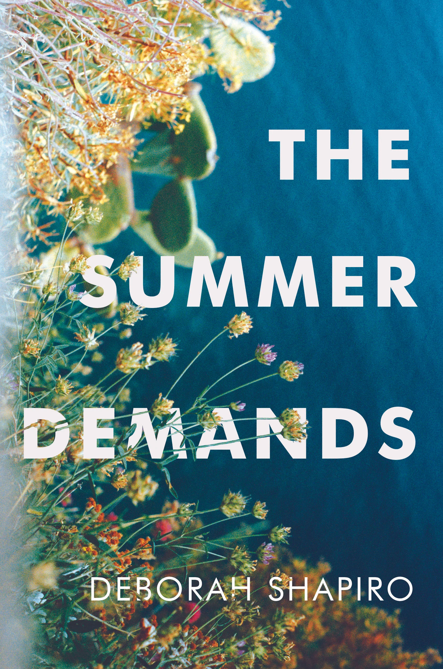 The Summer Demands_cvr_300dpi print res.jpg