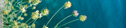 Screen Shot 2019-04-24 at 4.24.46 PM.png