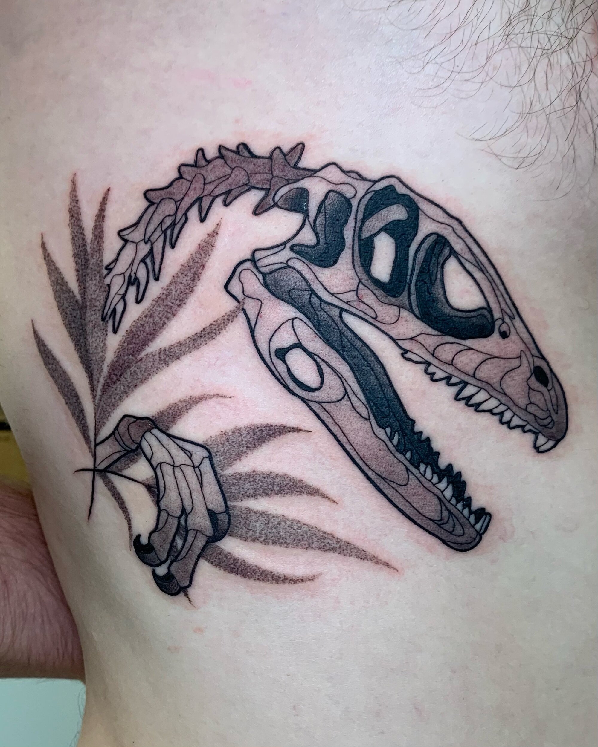 My raptor skeleton Done by Kurt at Bear Skin Tattoo in Edmonton  rtattoos