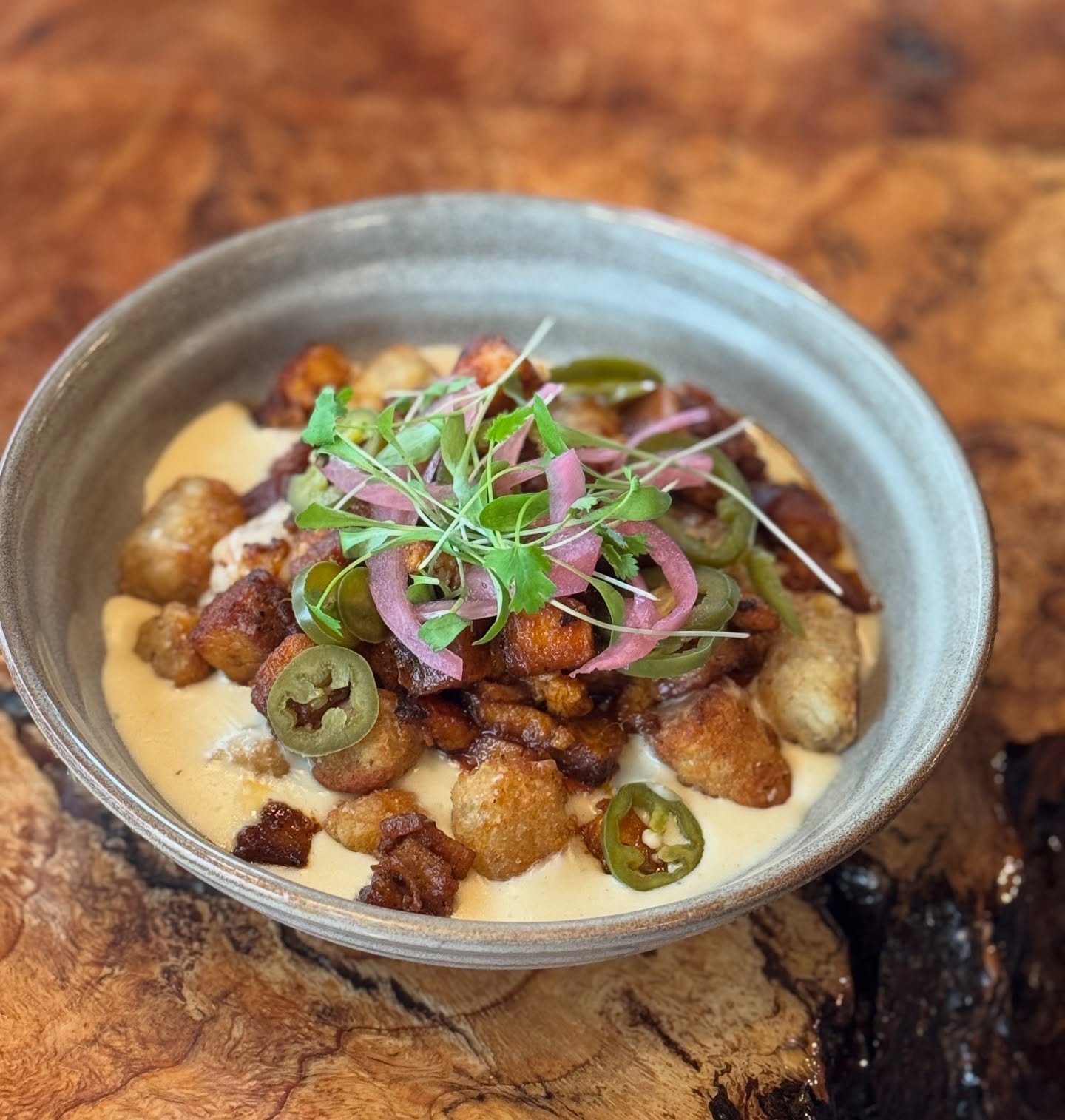 Tachos Tuesday ~ guajillo adobo pork belly, mornay, pickled jalape&ntilde;os and onions, micro cilantro. Shared or enjoyed solo @taproot_cider_house #ciderhouse #tachos #tacotuesday #hardcider