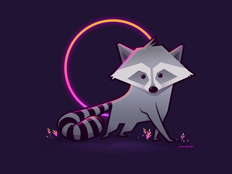 Raccoon