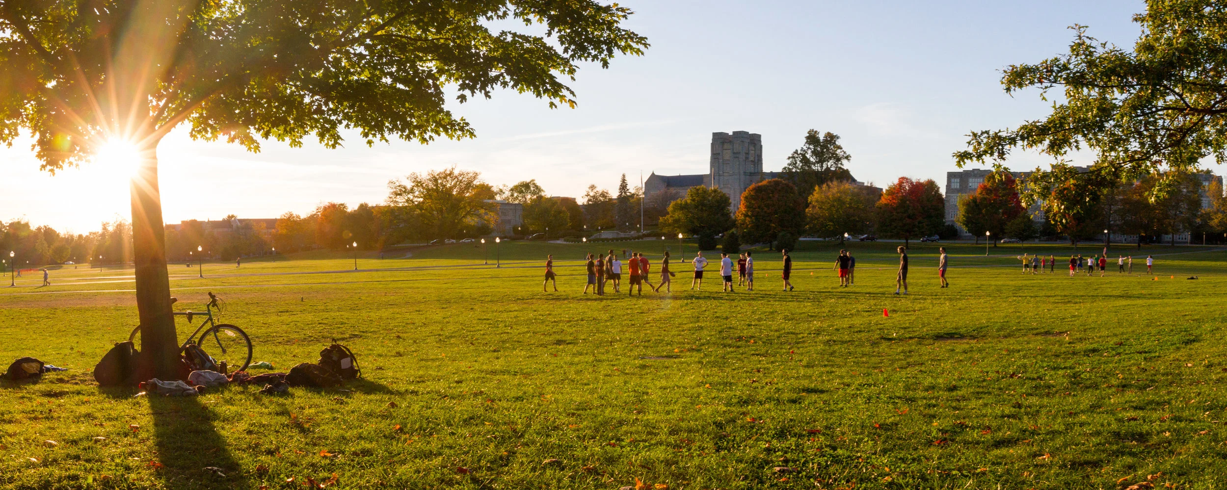 Website Photos_DSA-3.jpg