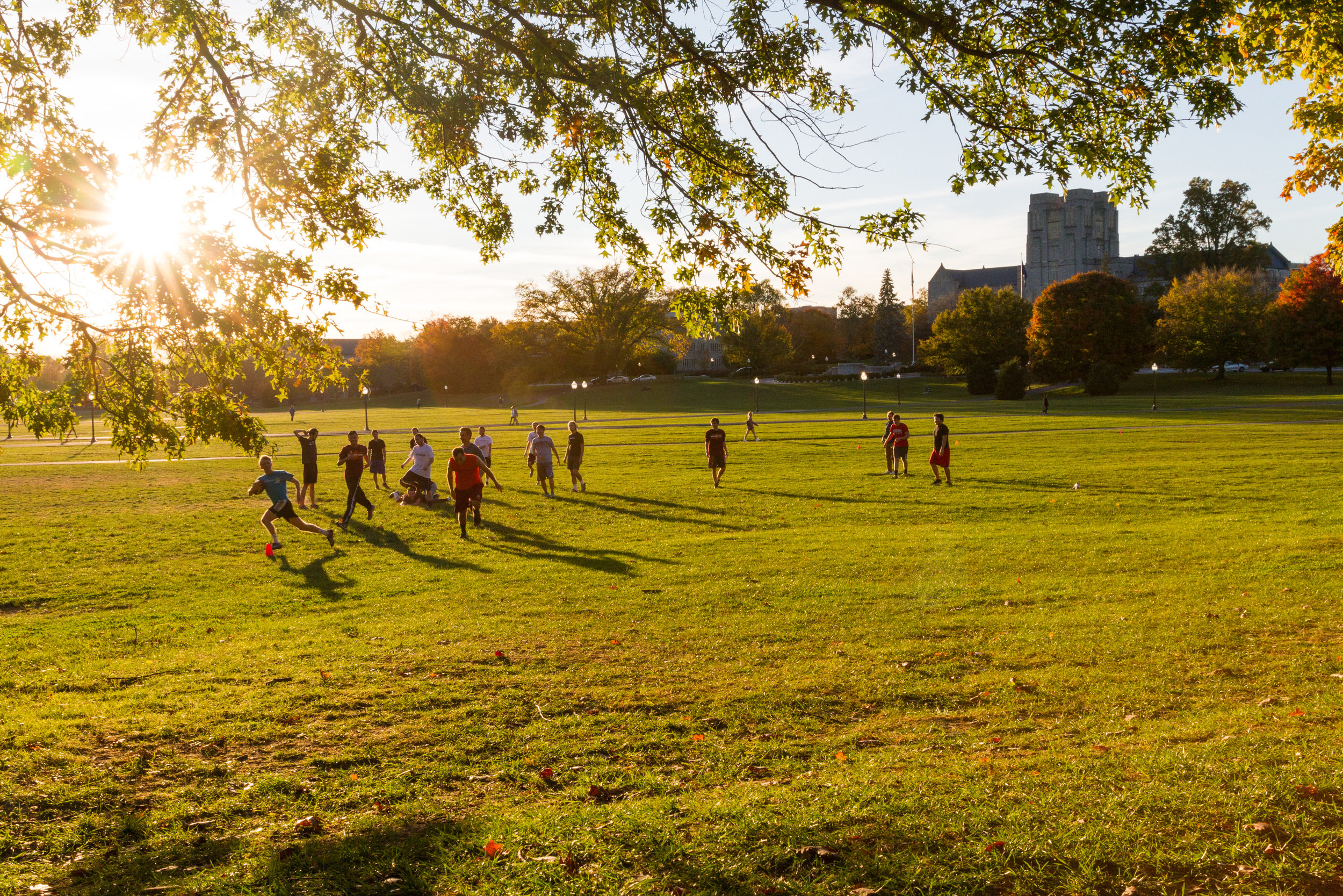 Copy of 2016_Fall Photos-15.jpg