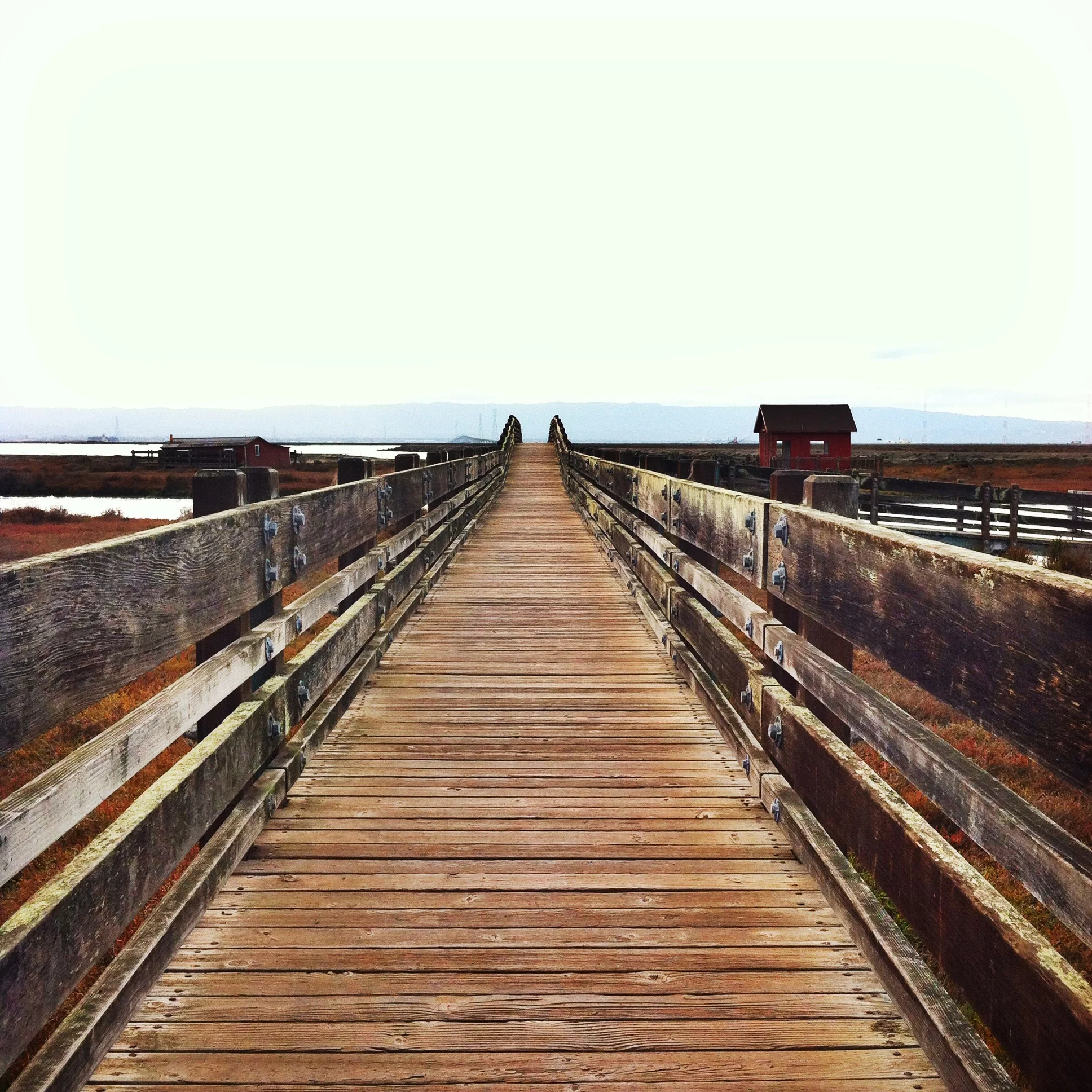 Don Edwards San Francisco Bay National Wildlife Refuge in California