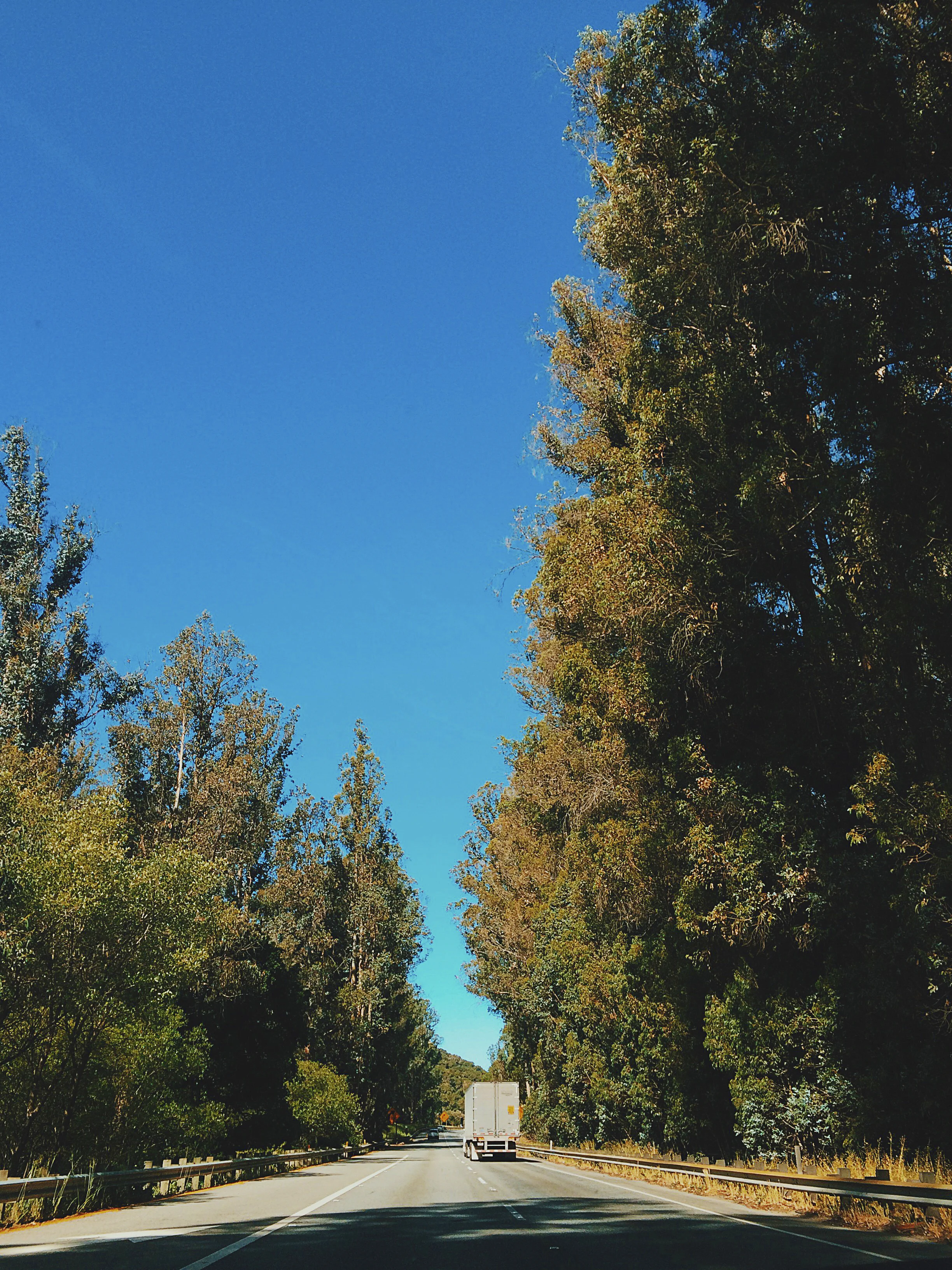 Aromas, California