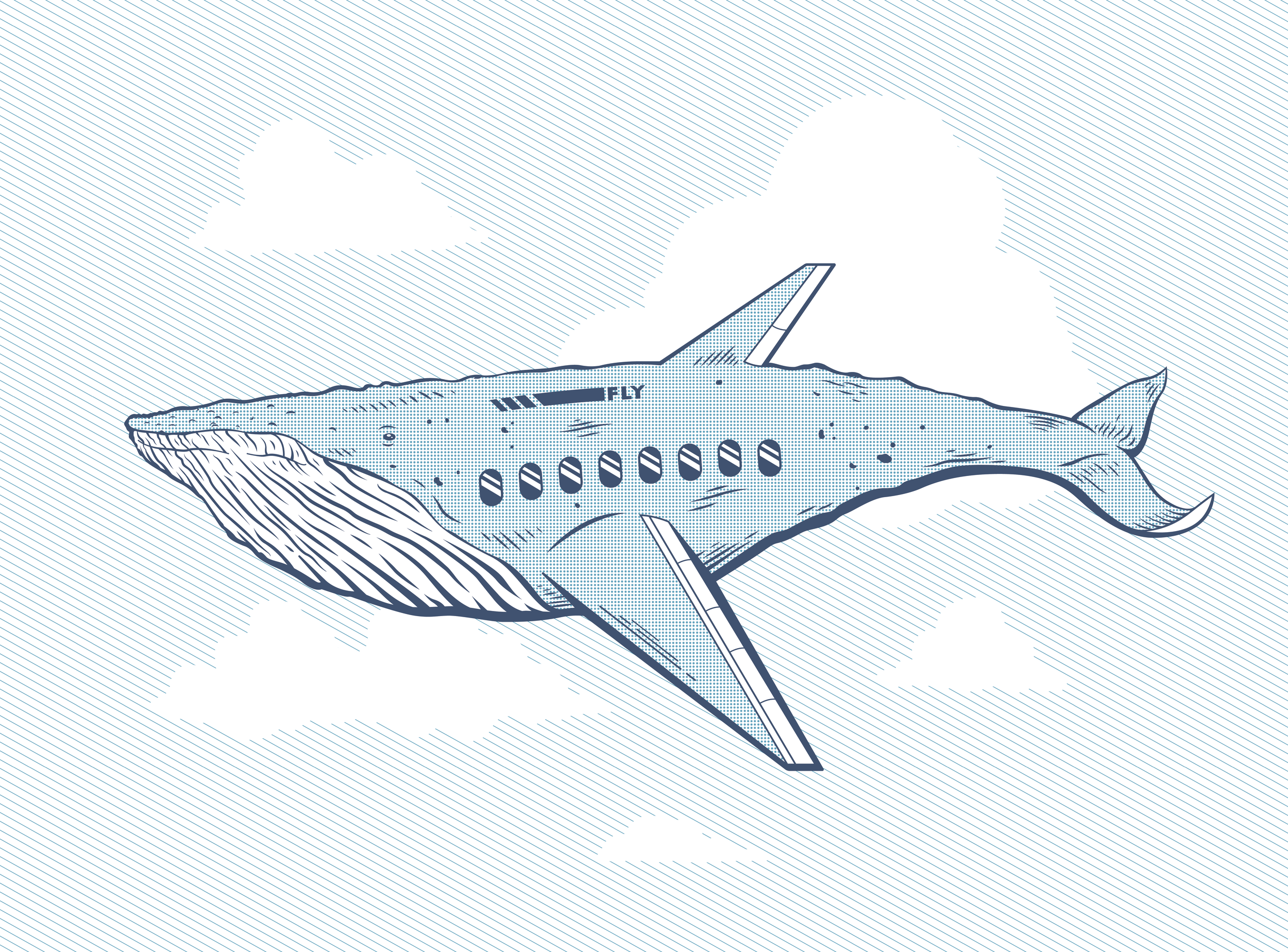 Whaleplane Illustration
