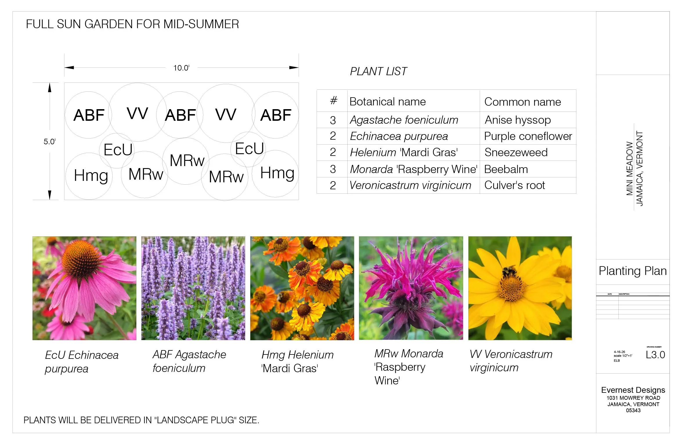 MAY DAY planting plan-LAYOUT.jpg