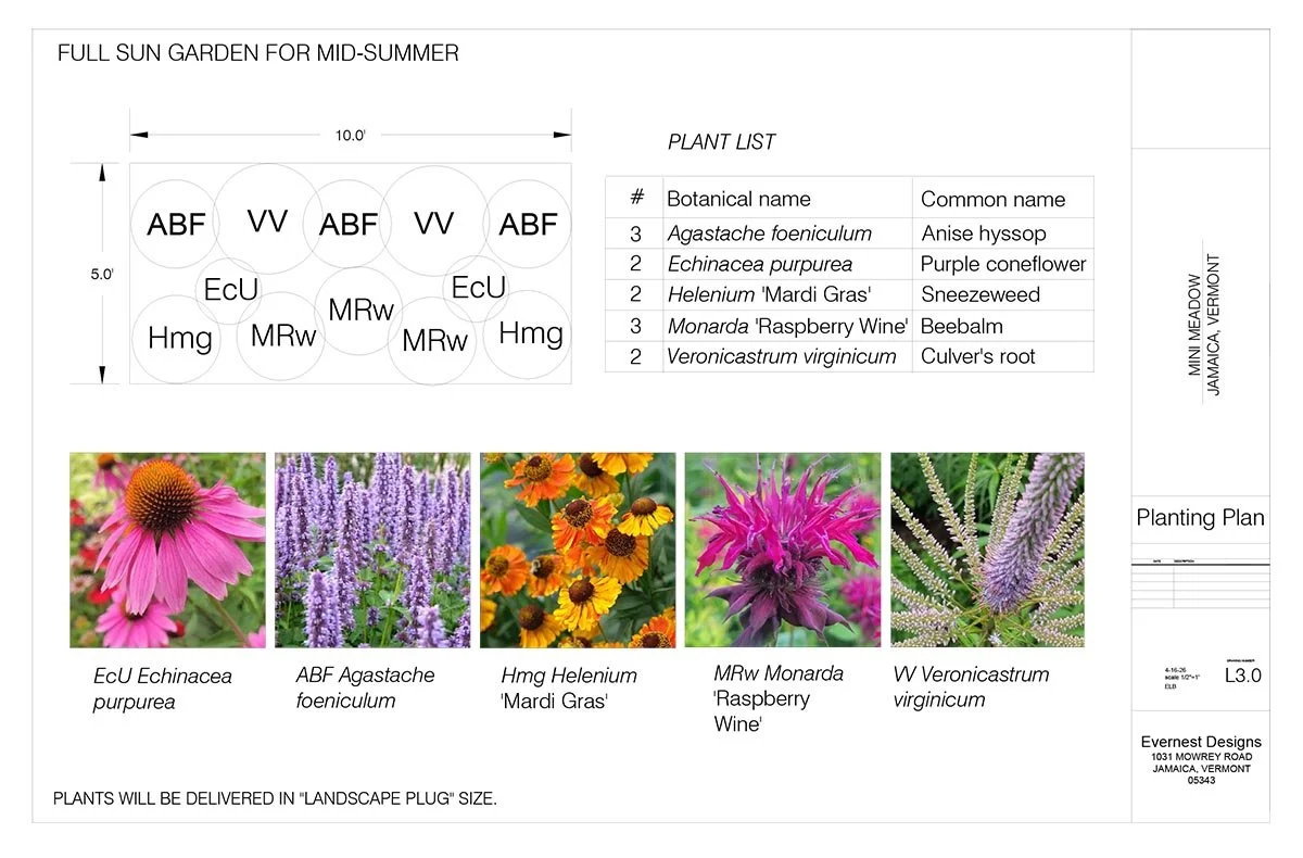 MAY DAY planting plan 4-22-26.jpg